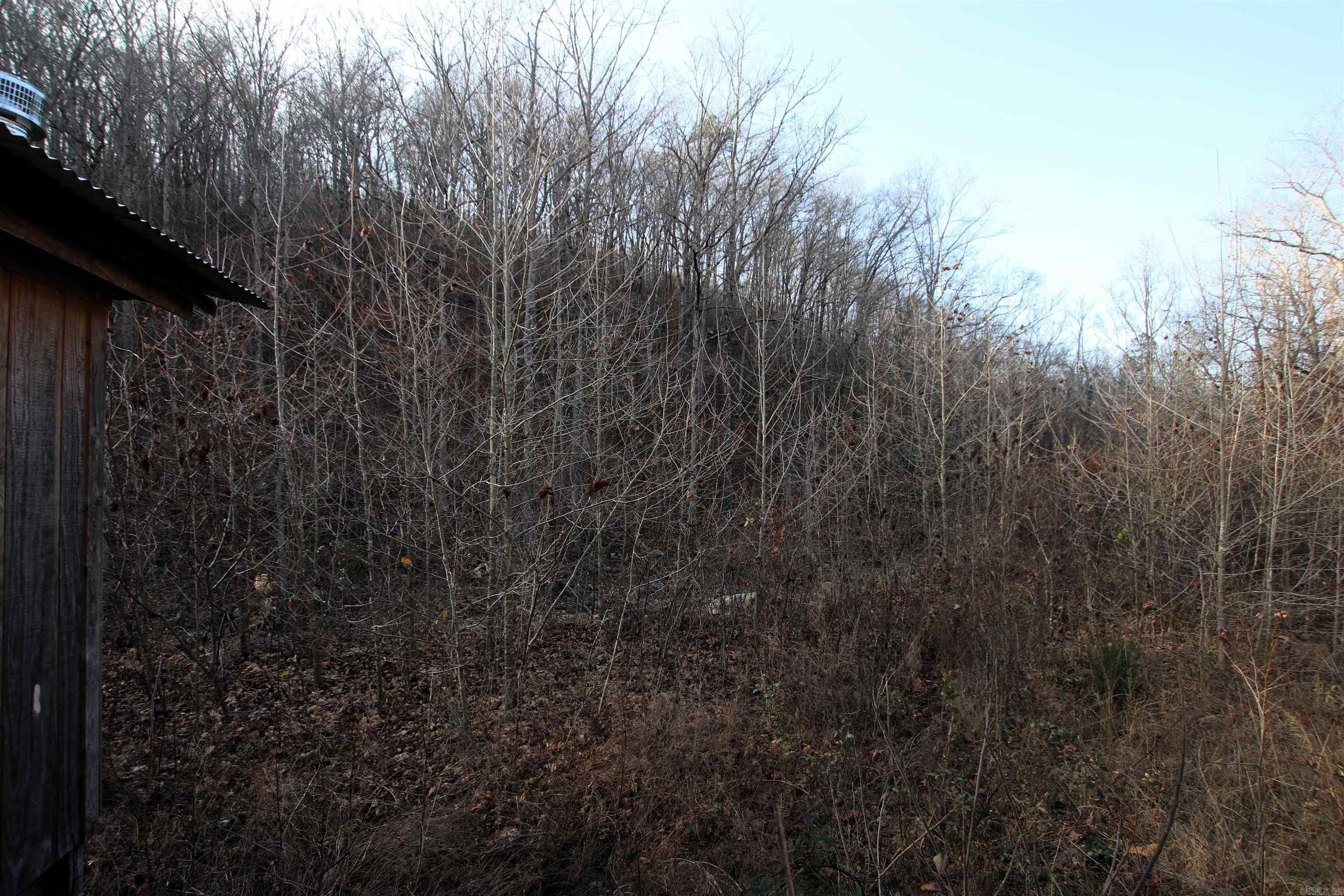 000 Carly  Clinton, AR