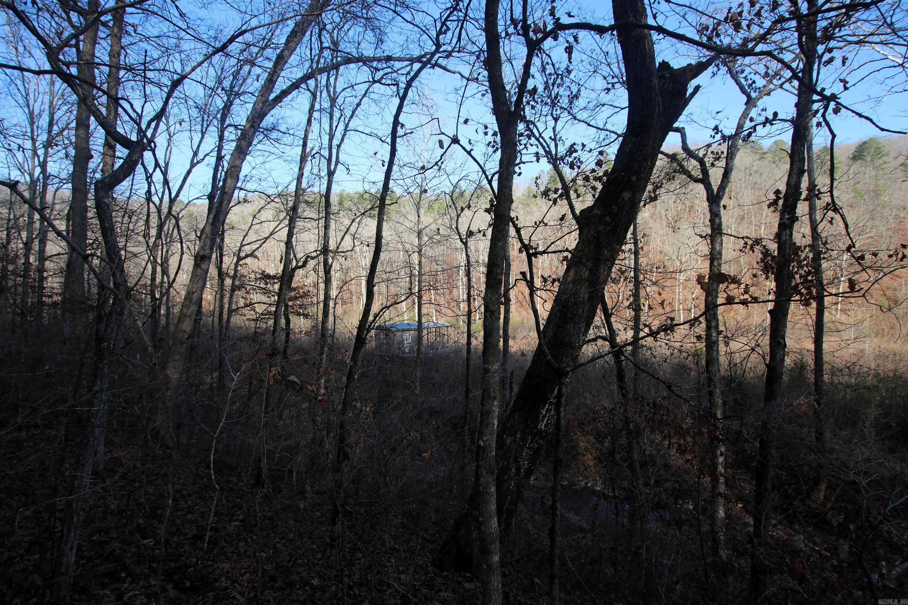 000 Carly  Clinton, AR