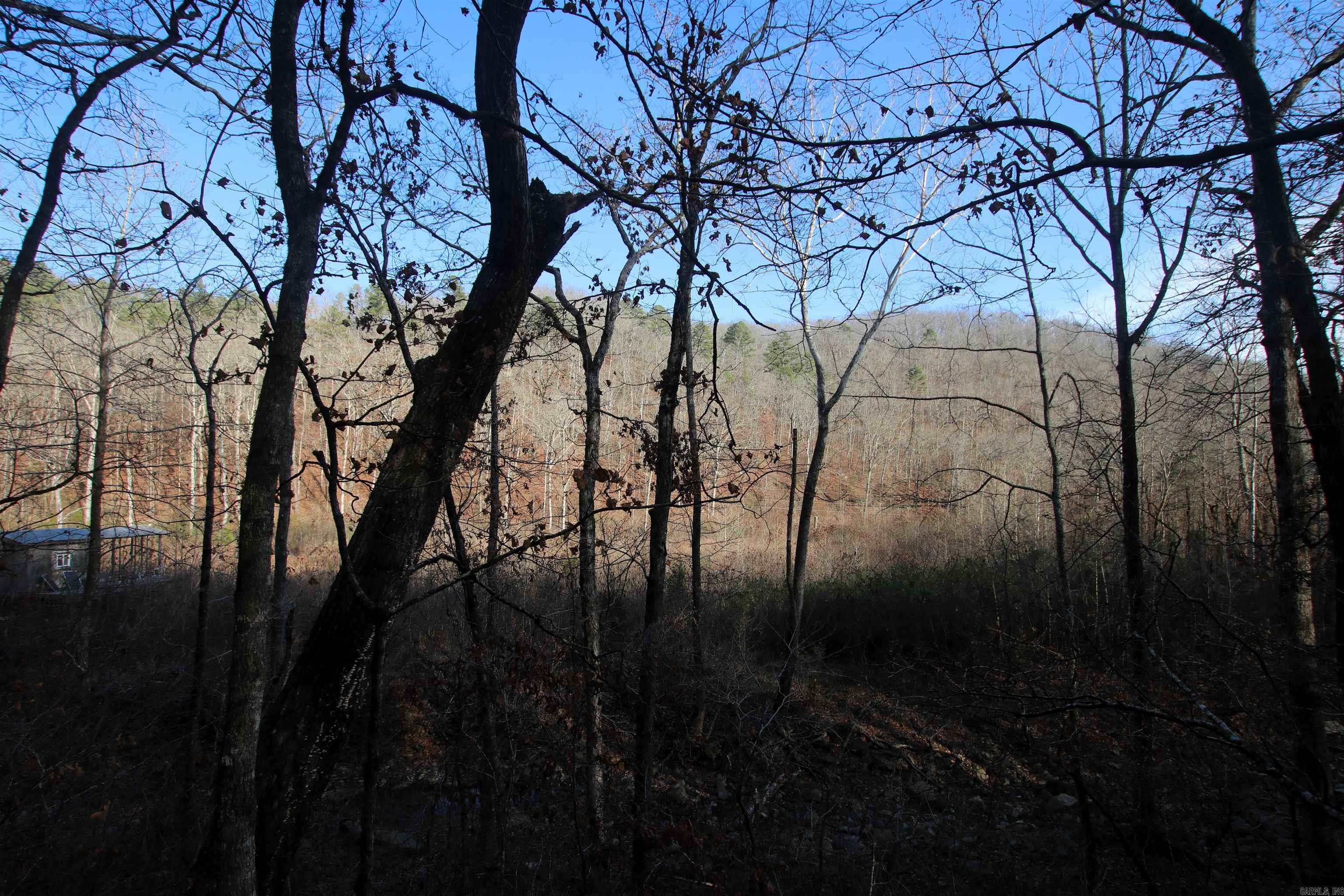 000 Carly  Clinton, AR