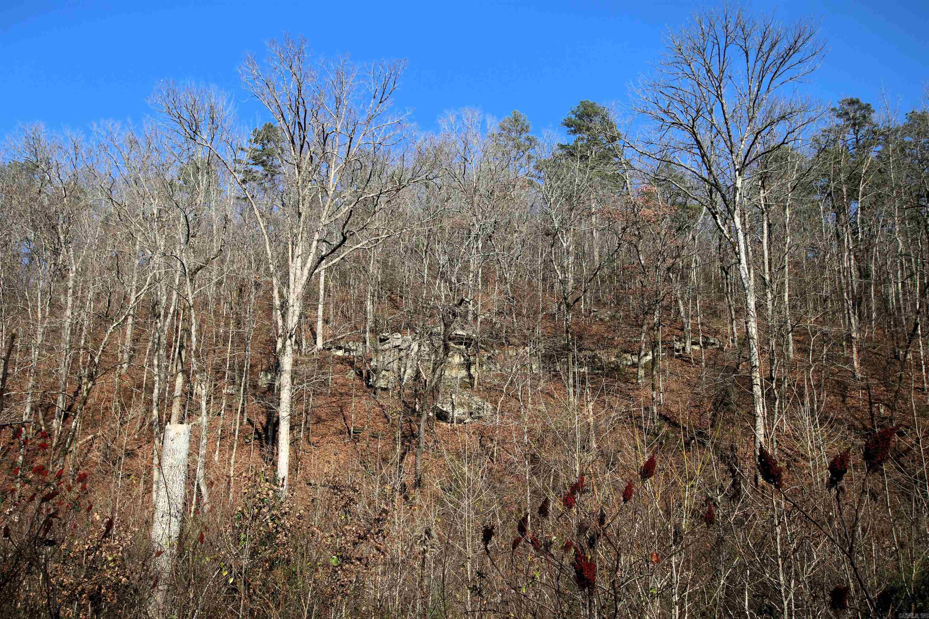 000 Carly  Clinton, AR