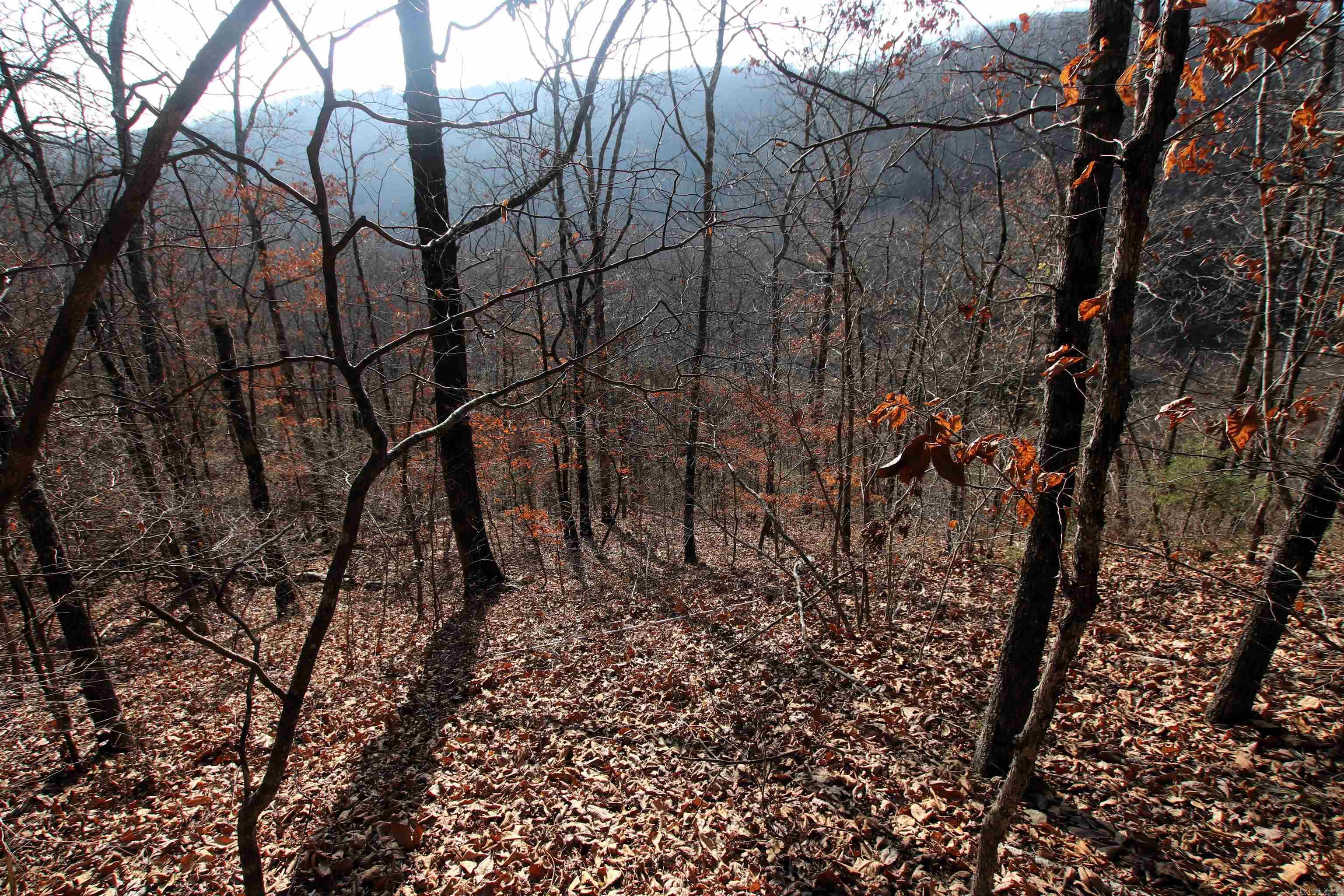 000 Carly  Clinton, AR