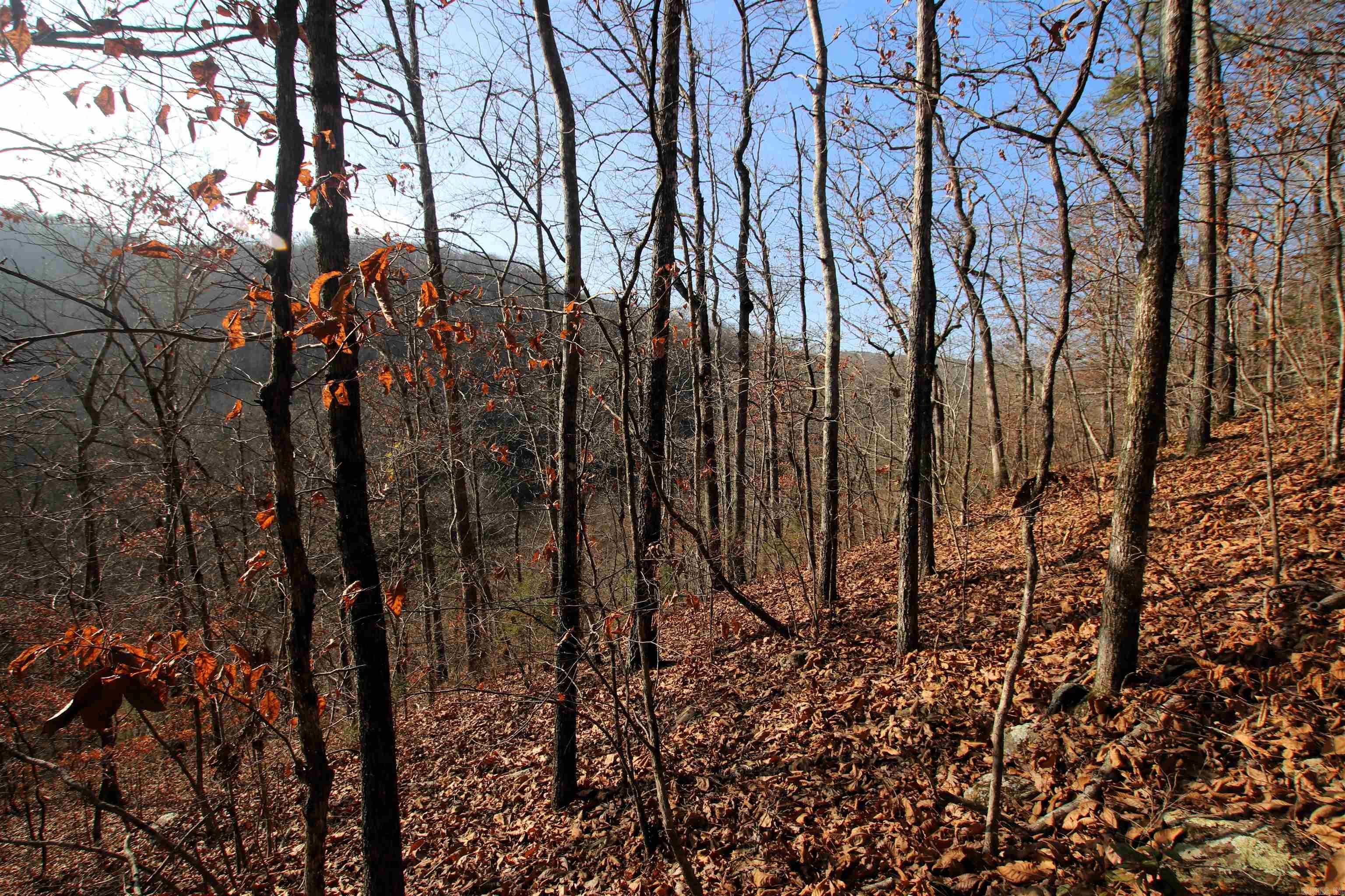 000 Carly  Clinton, AR