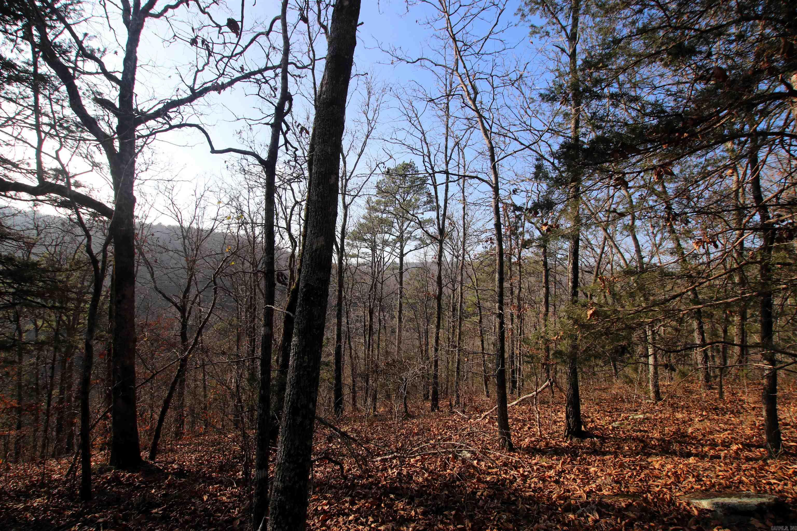 000 Carly  Clinton, AR