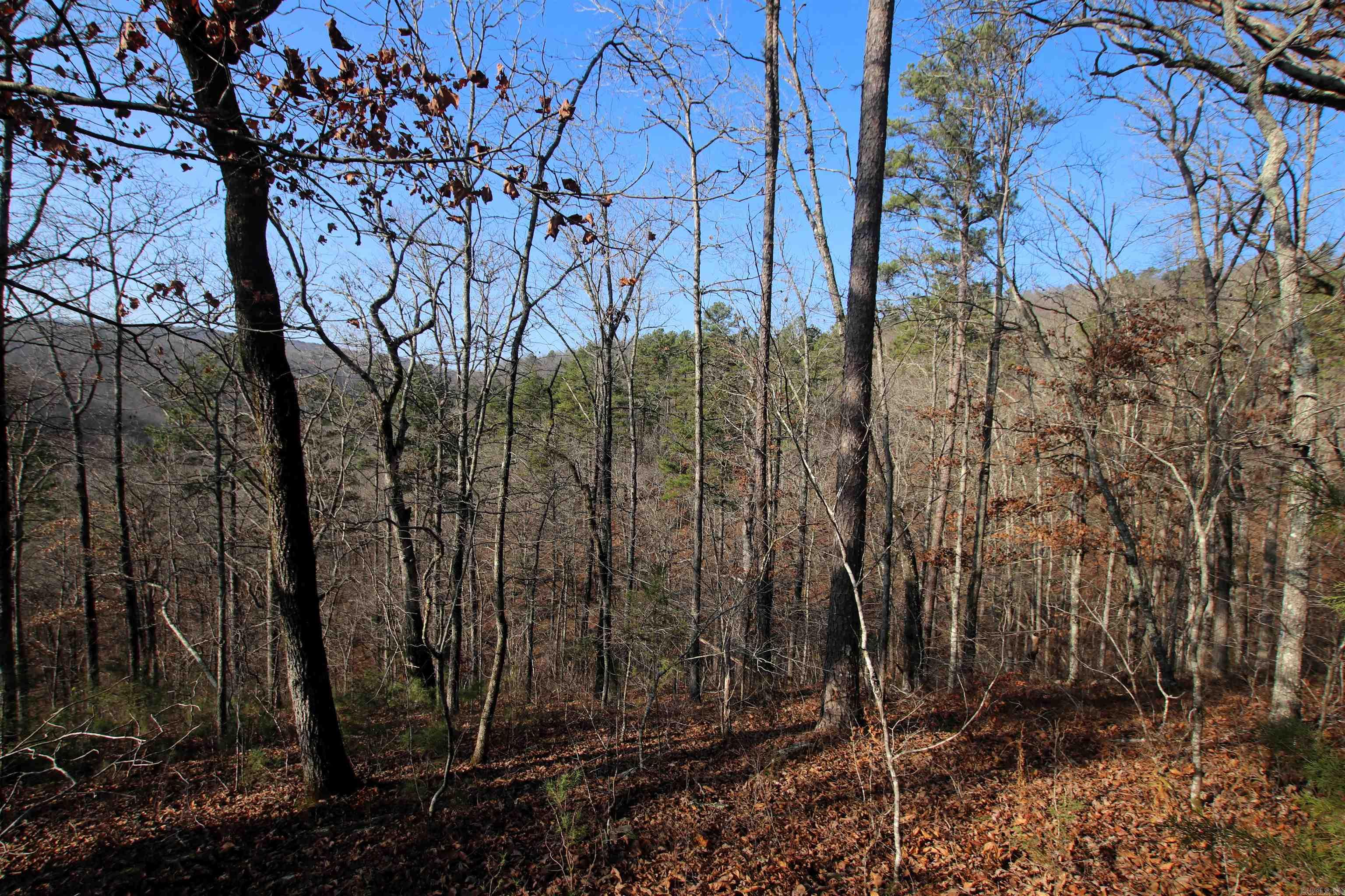 000 Carly  Clinton, AR