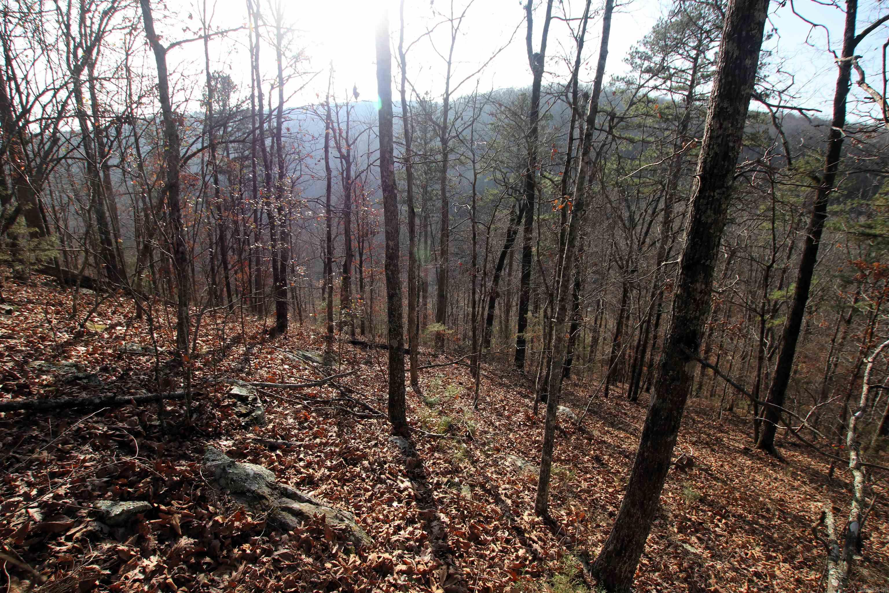 000 Carly  Clinton, AR