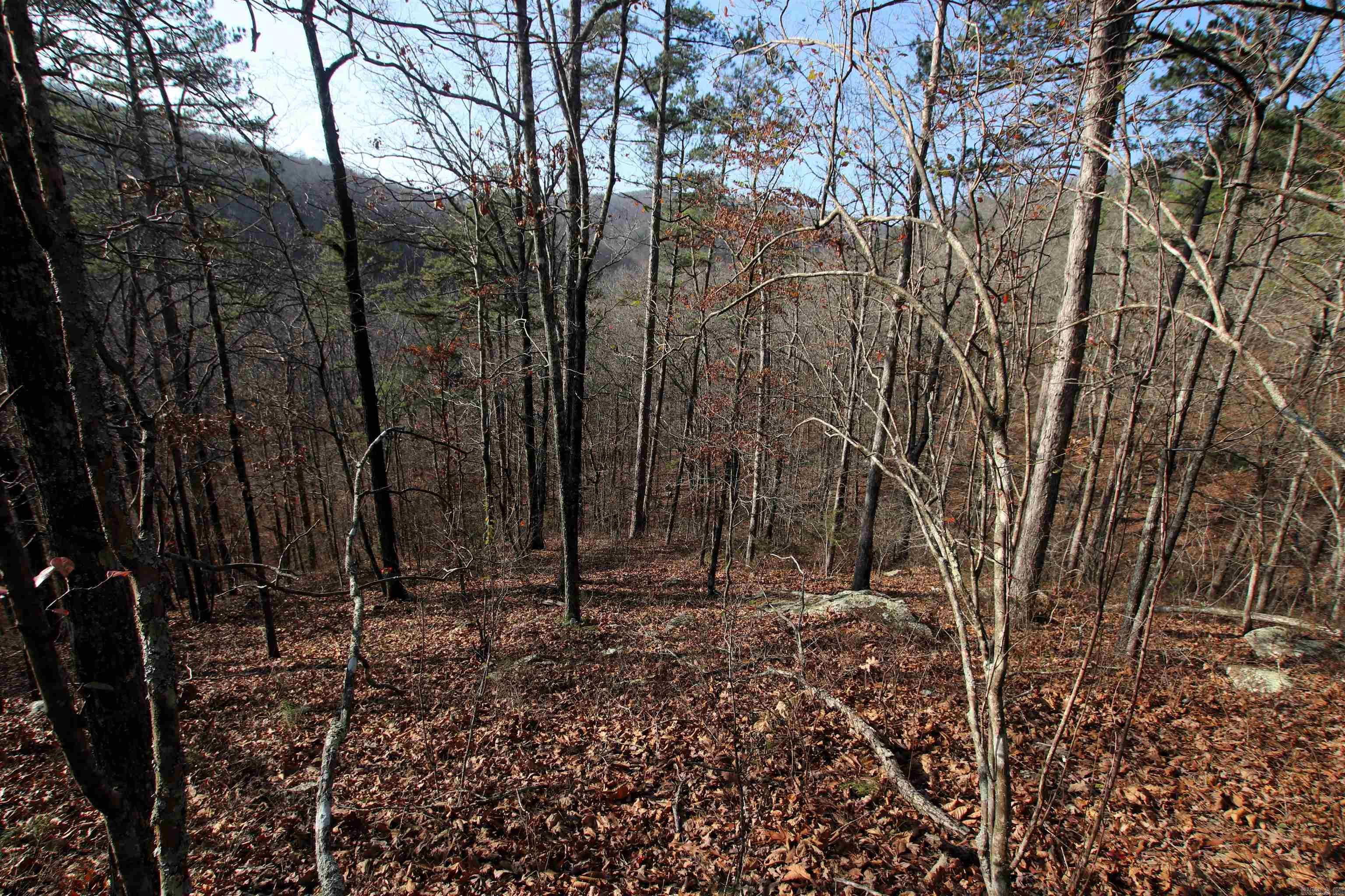 000 Carly  Clinton, AR