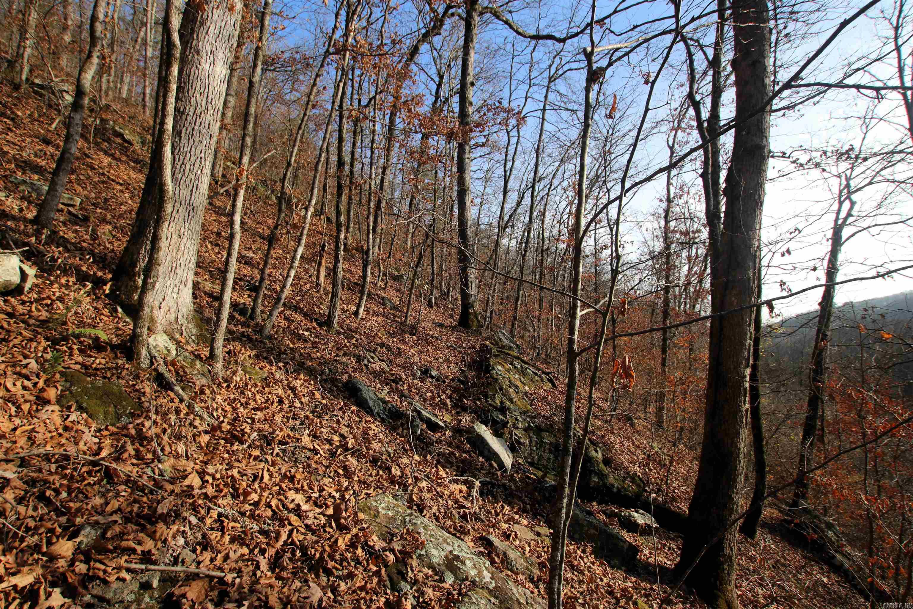 000 Carly  Clinton, AR