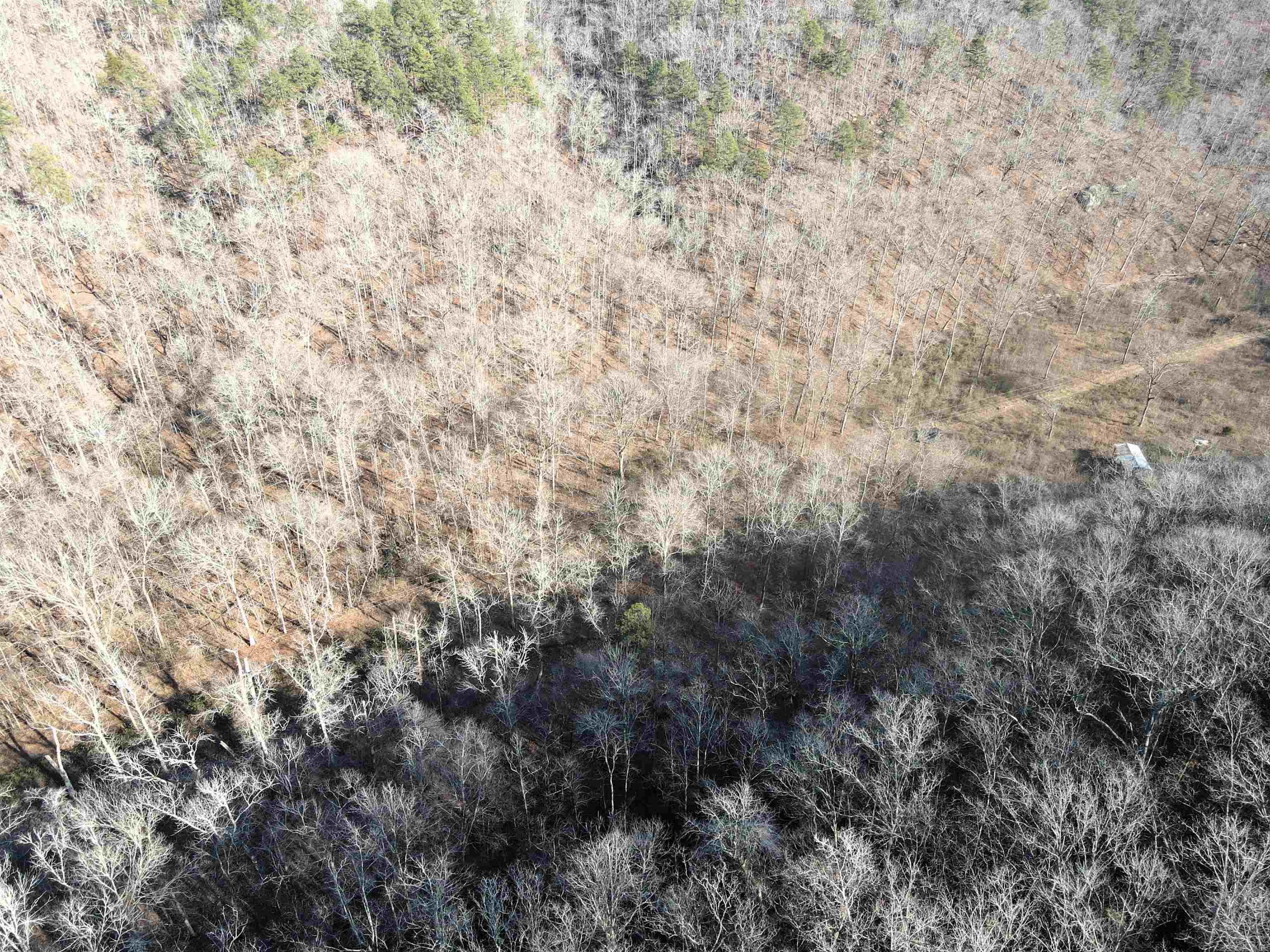 000 Carly  Clinton, AR