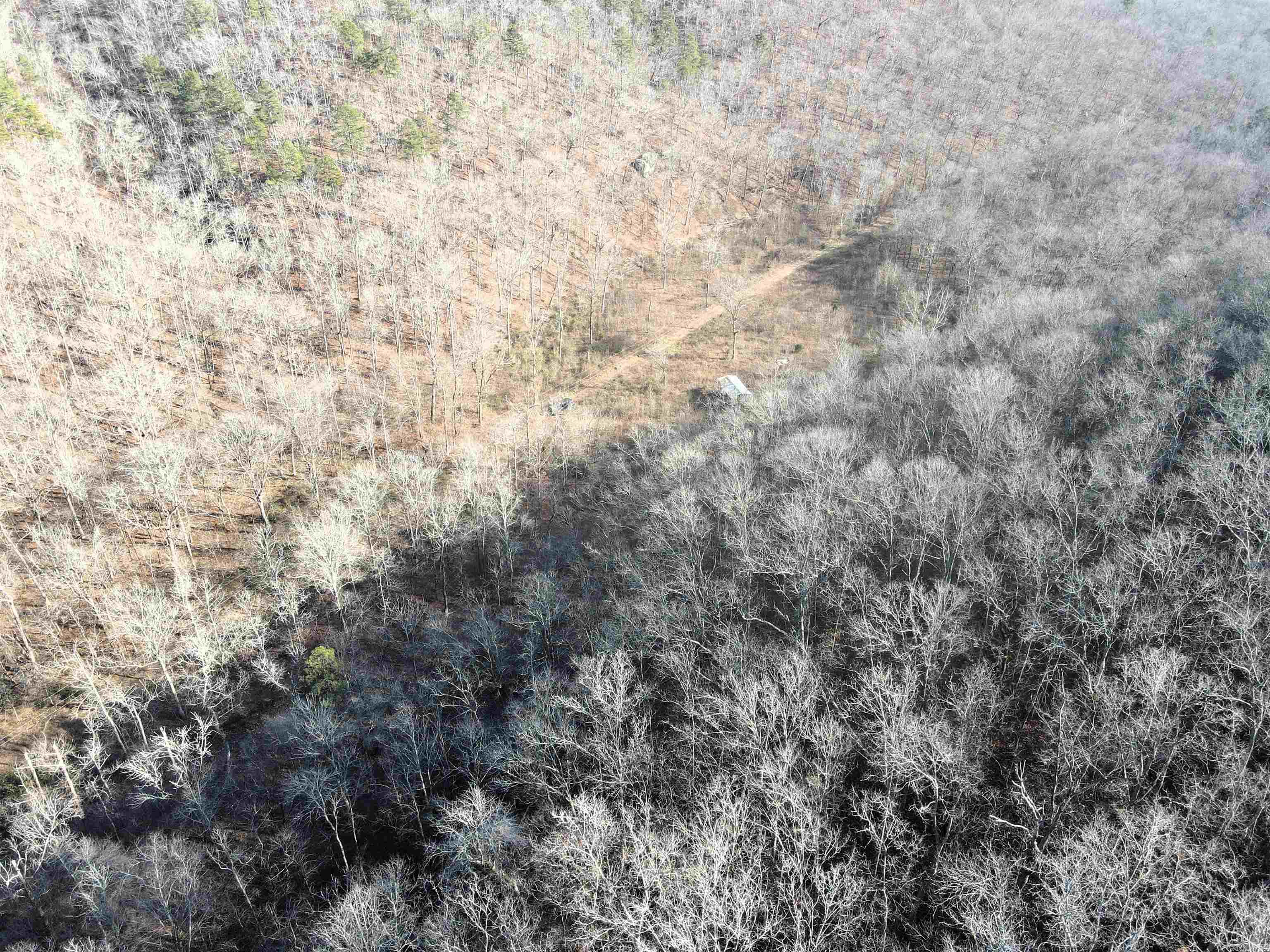 000 Carly  Clinton, AR