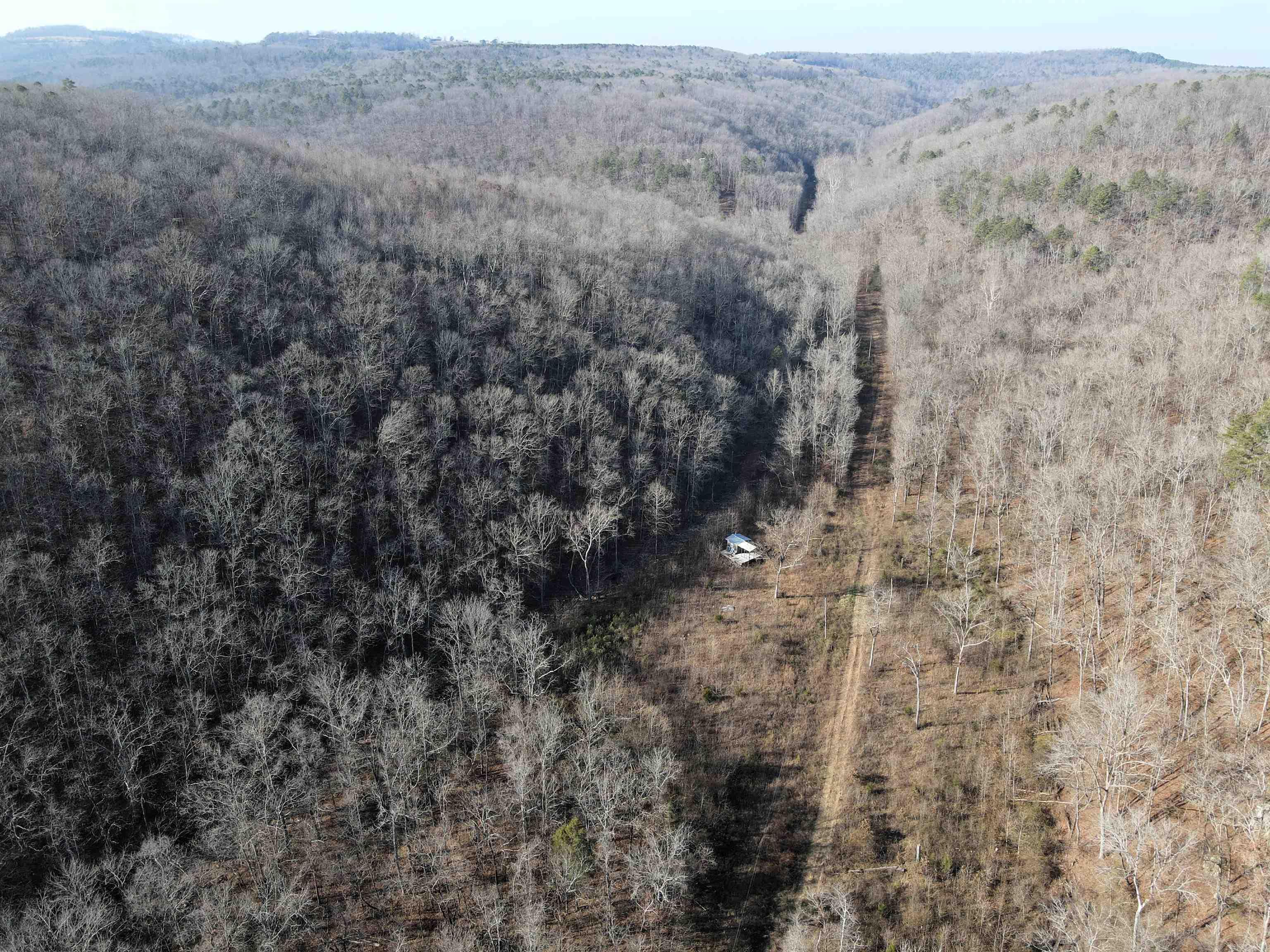 000 Carly  Clinton, AR