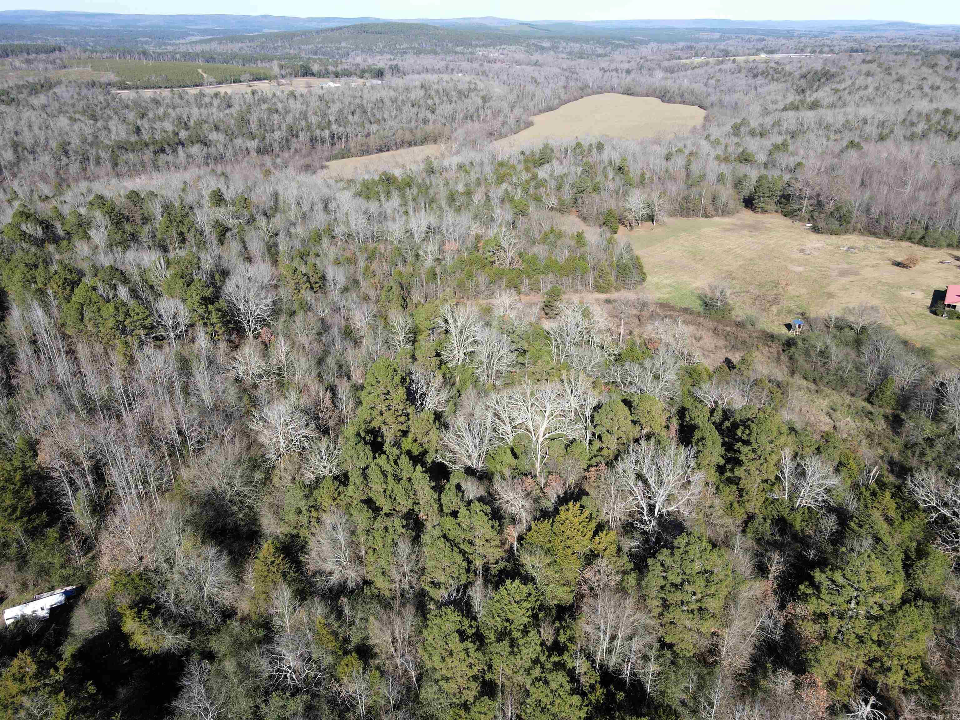 000 Copeland Cave  Cleveland, AR