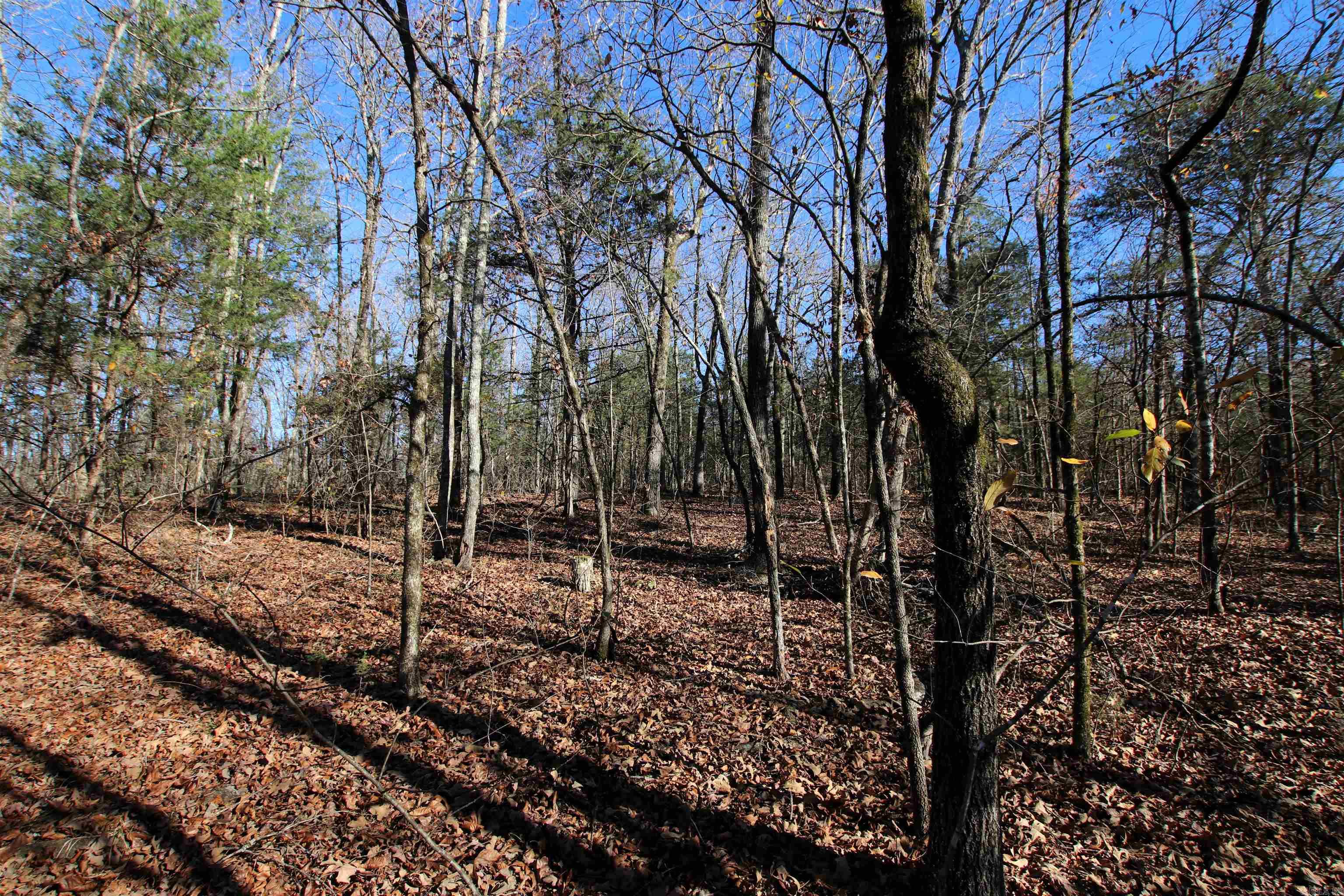 000 Copeland Cave  Cleveland, AR