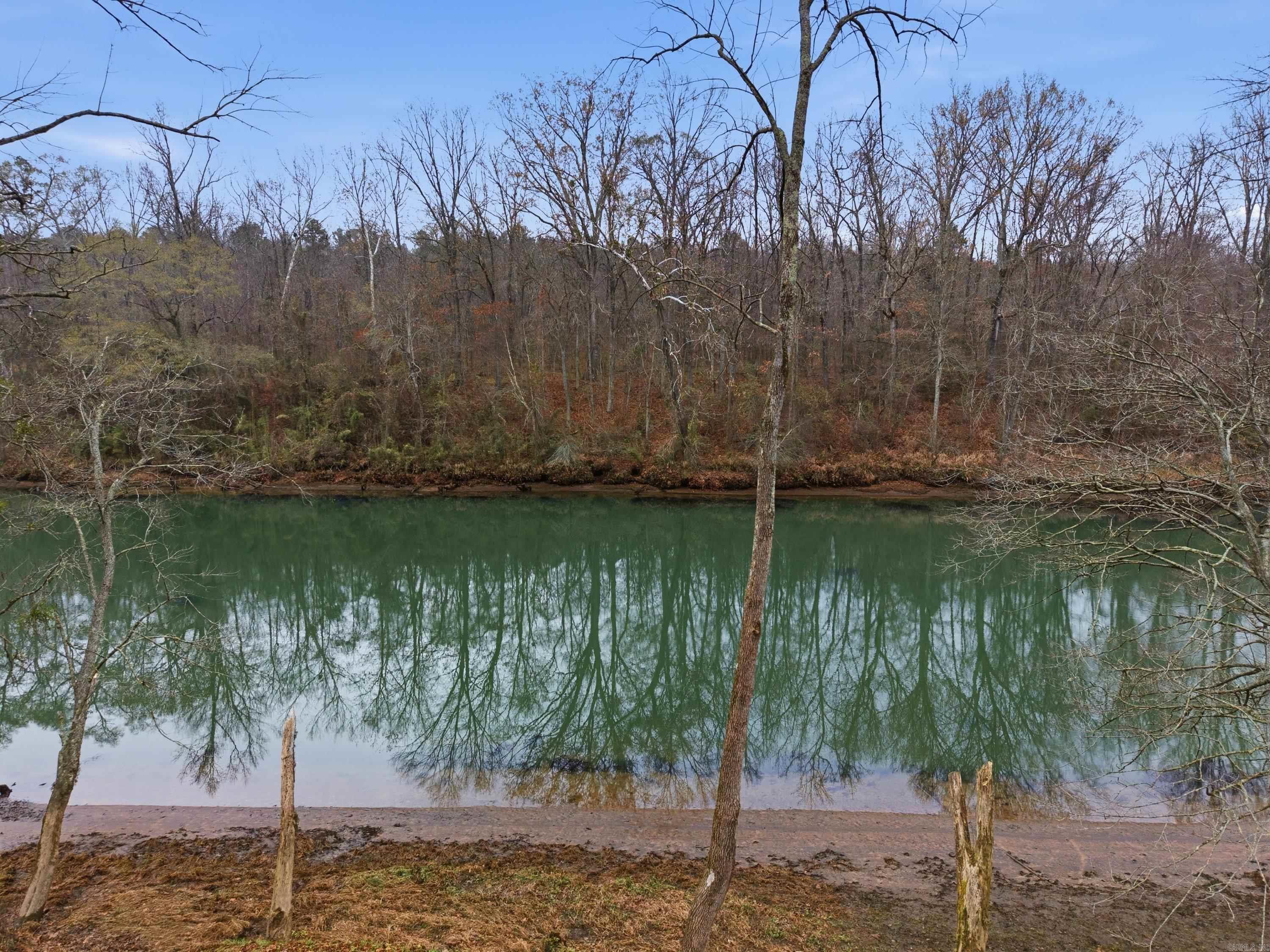 81 Lobo Cabin #10 Heber Springs, AR