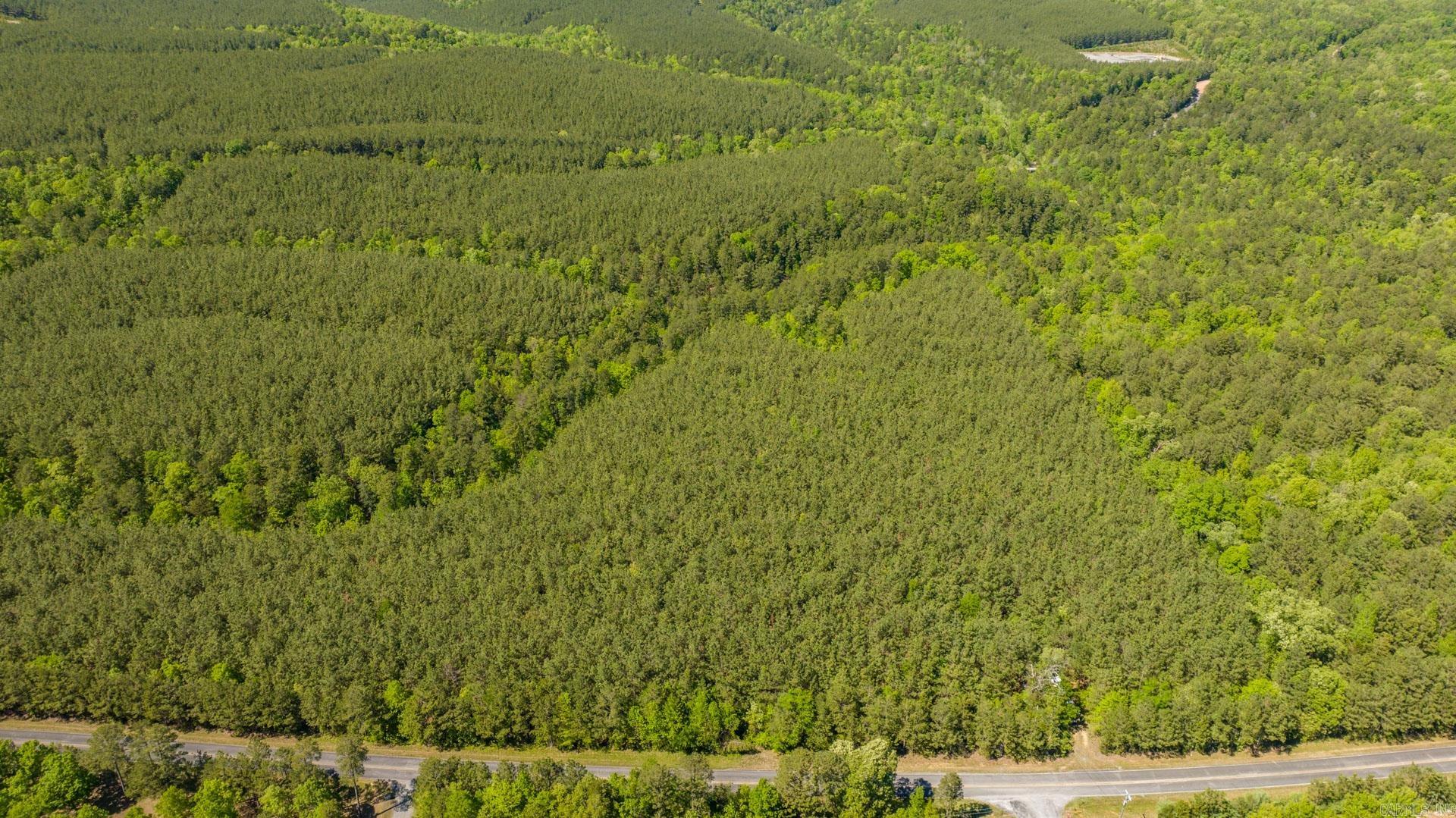 000 BURNT RIDGE ROAD (TRACT 3)  Shirley, AR