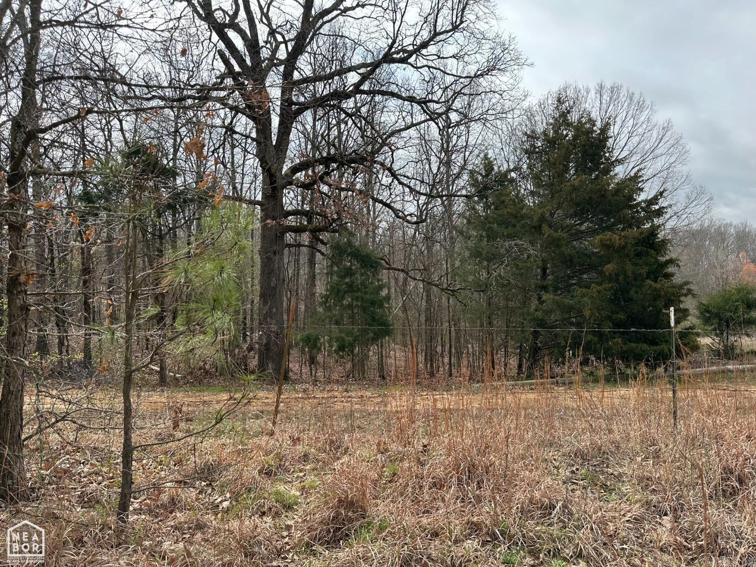 Lot 2 Raby  Harrisburg, AR