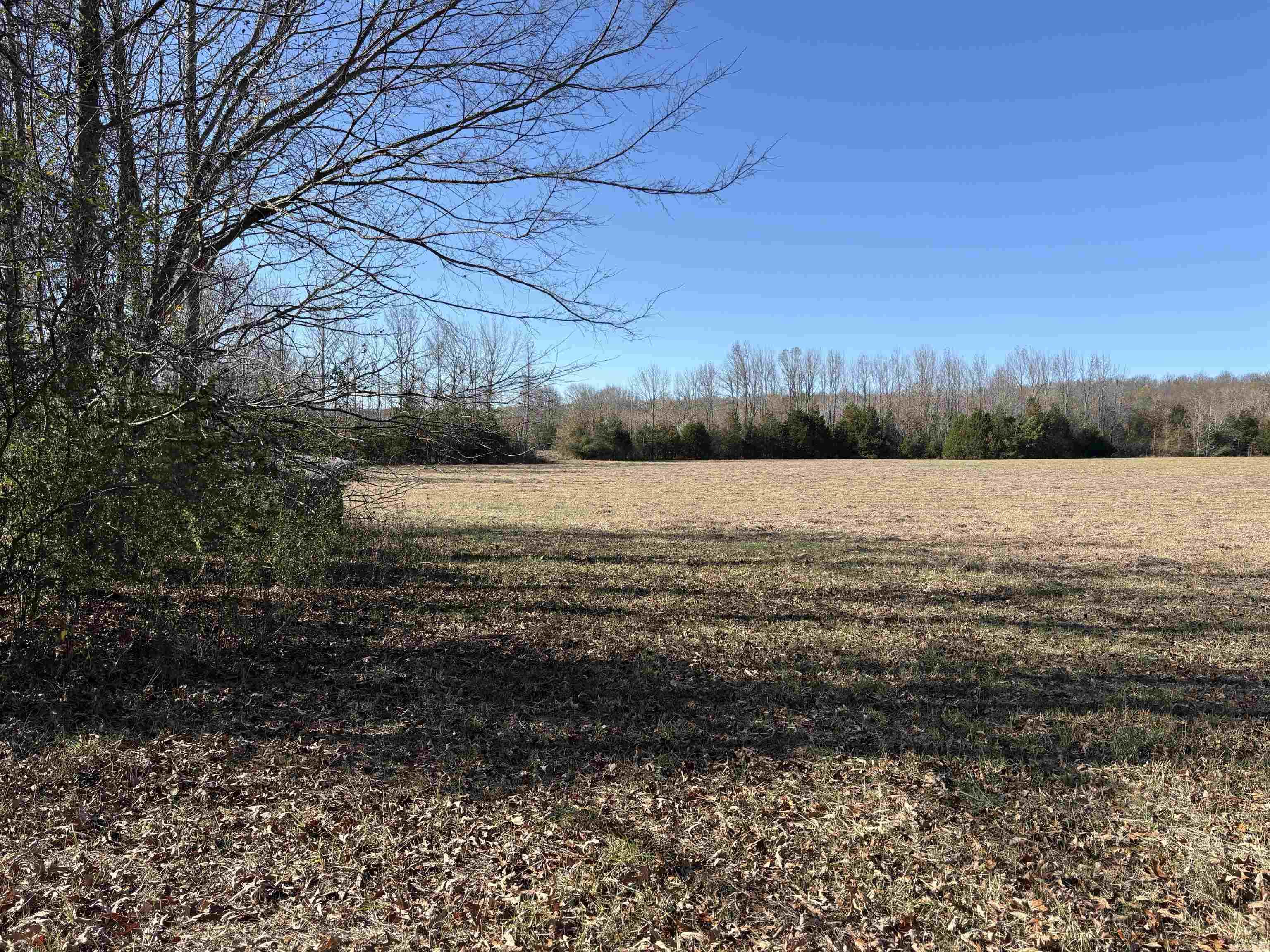 Tract 2 Ridge  El Paso, AR