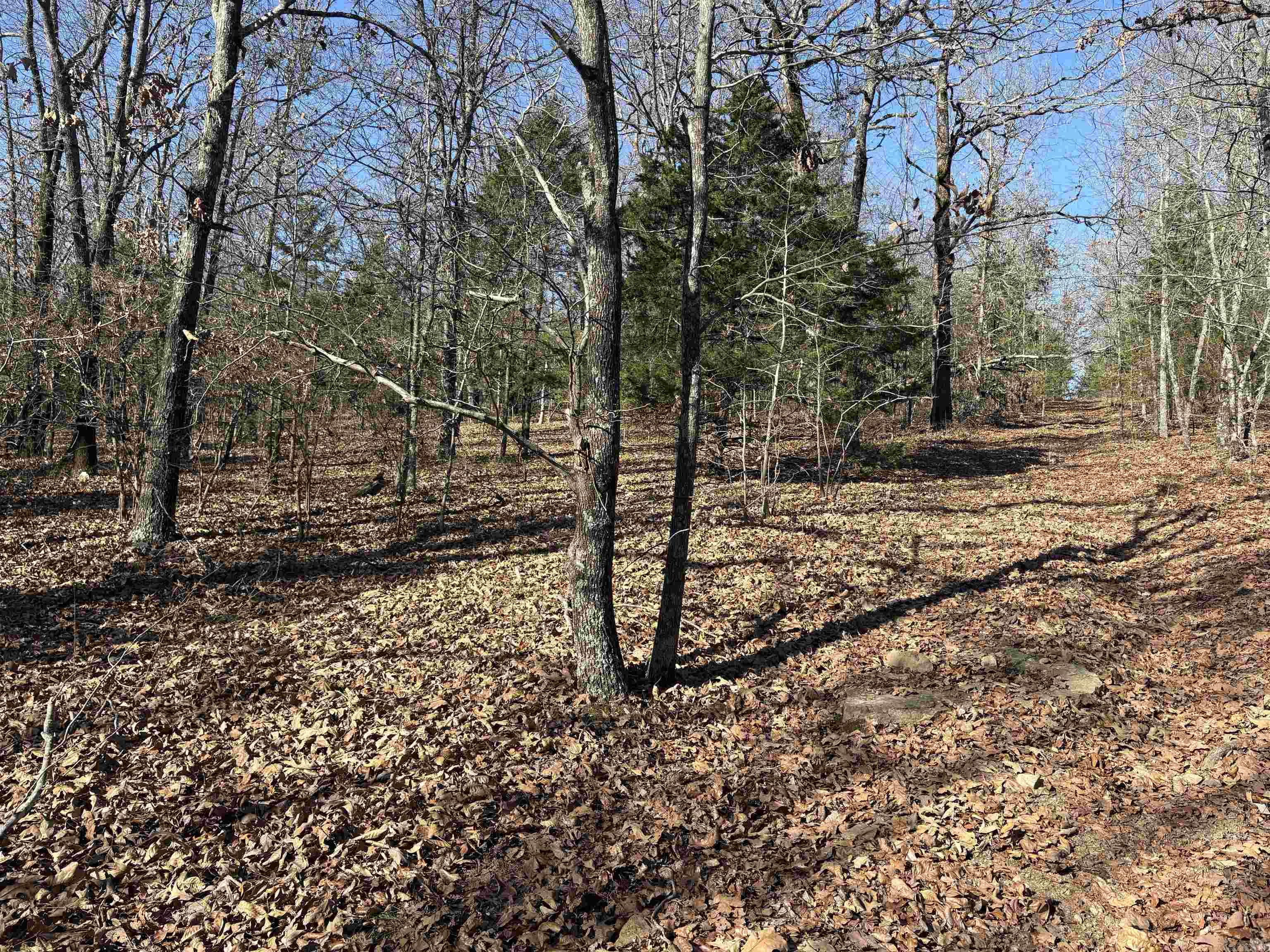 Tract 2 Ridge  El Paso, AR