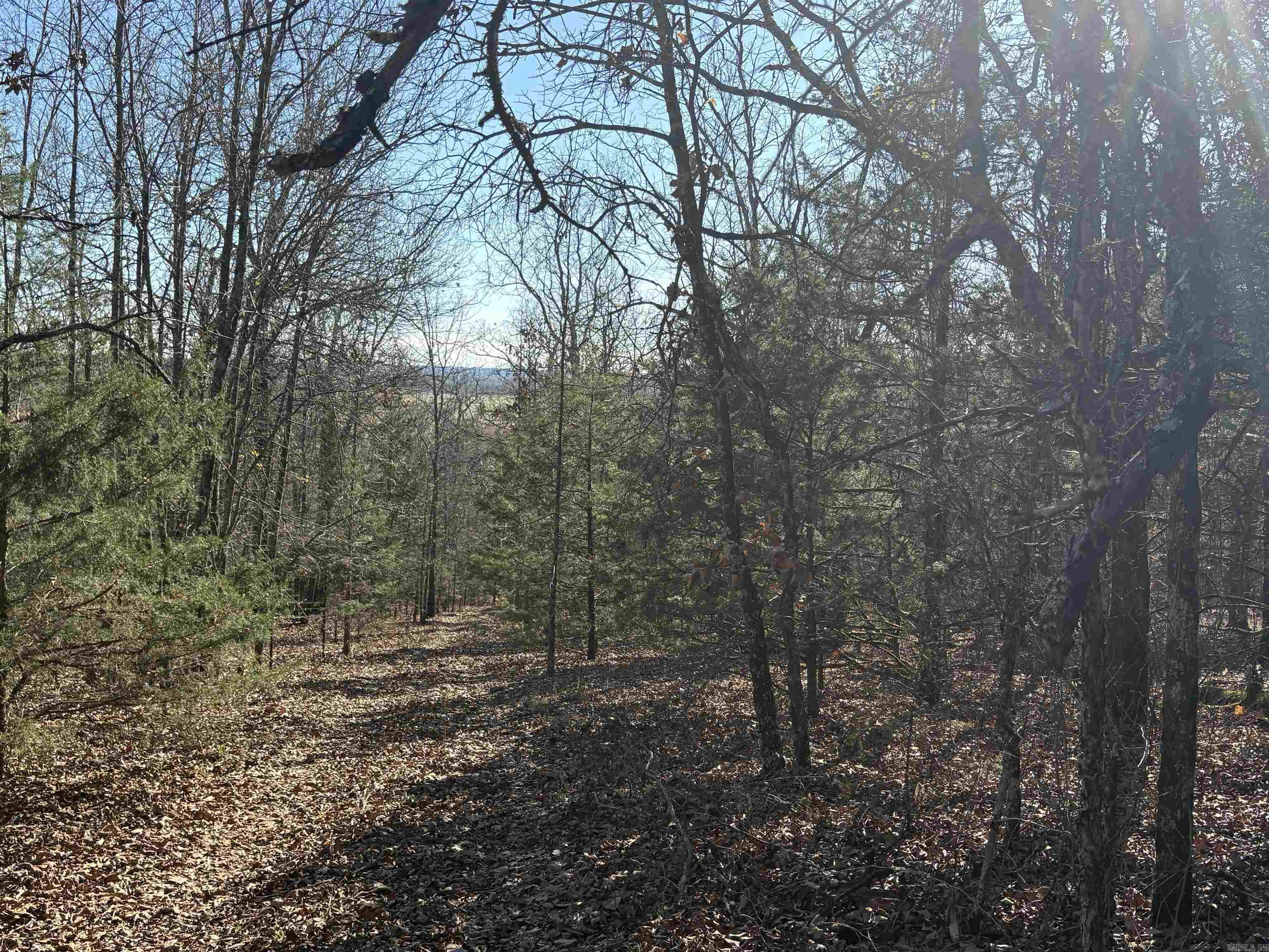 Tract 2 Ridge  El Paso, AR