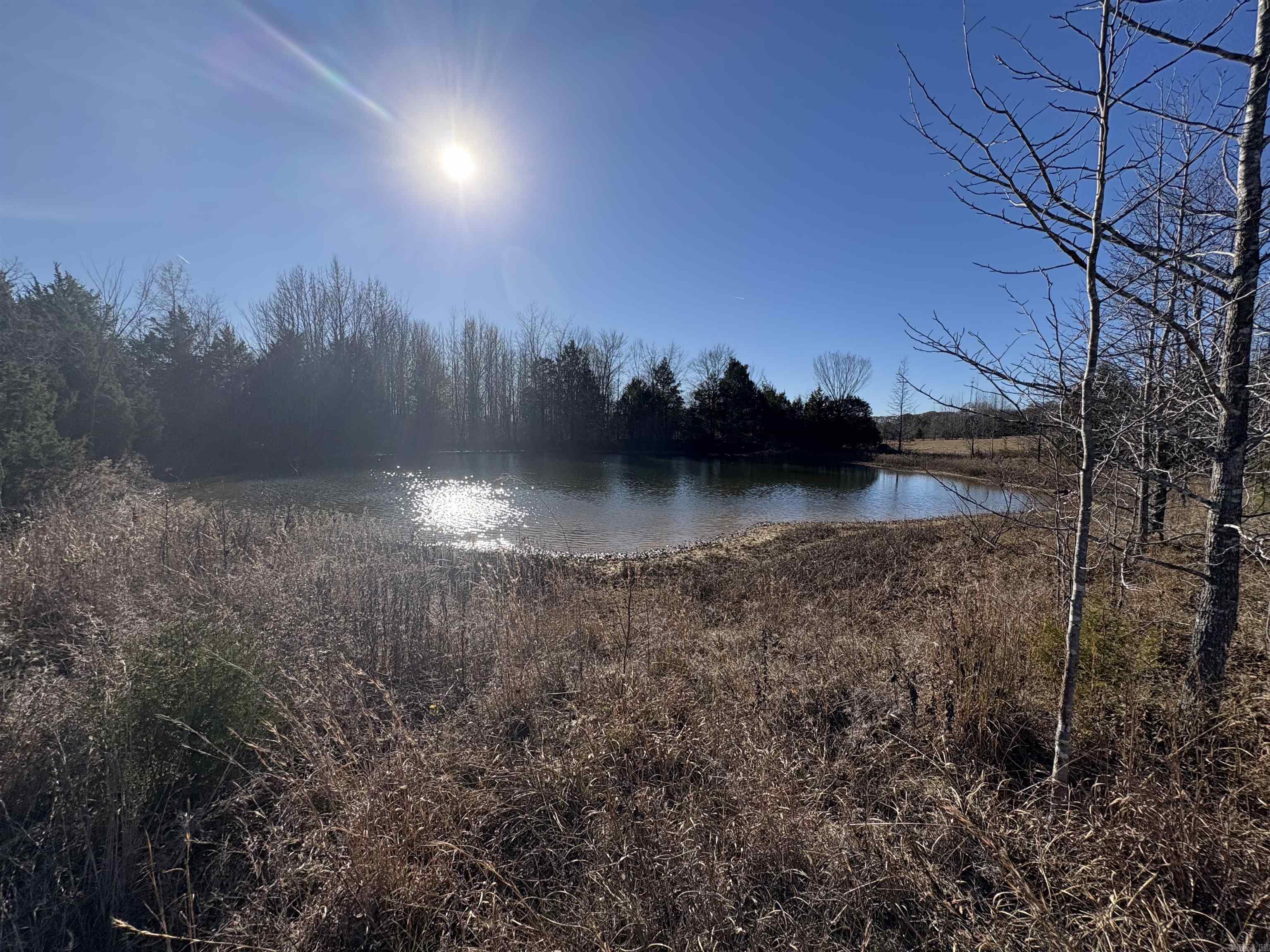 Tract 2 Ridge  El Paso, AR