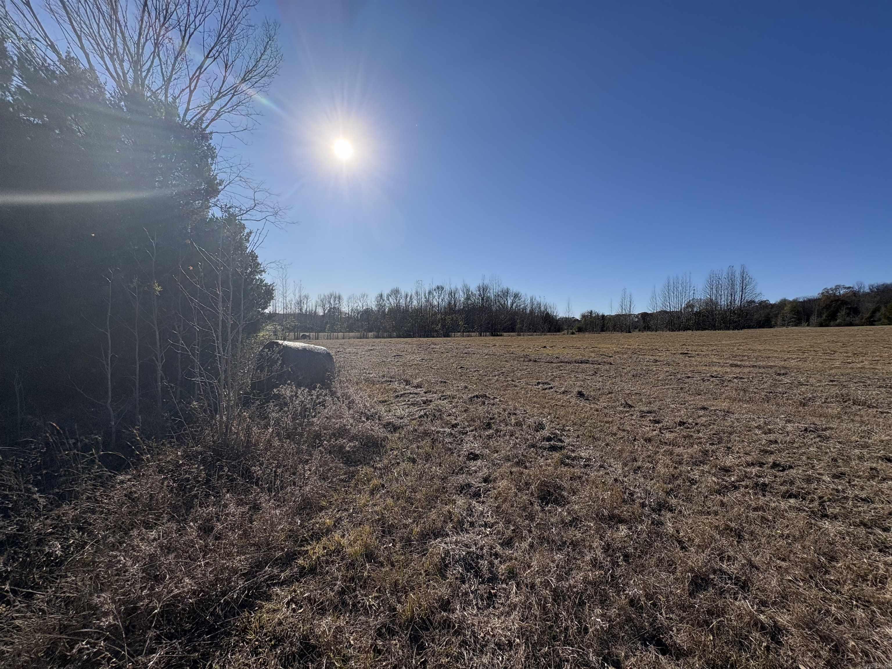 Tract 2 Ridge  El Paso, AR