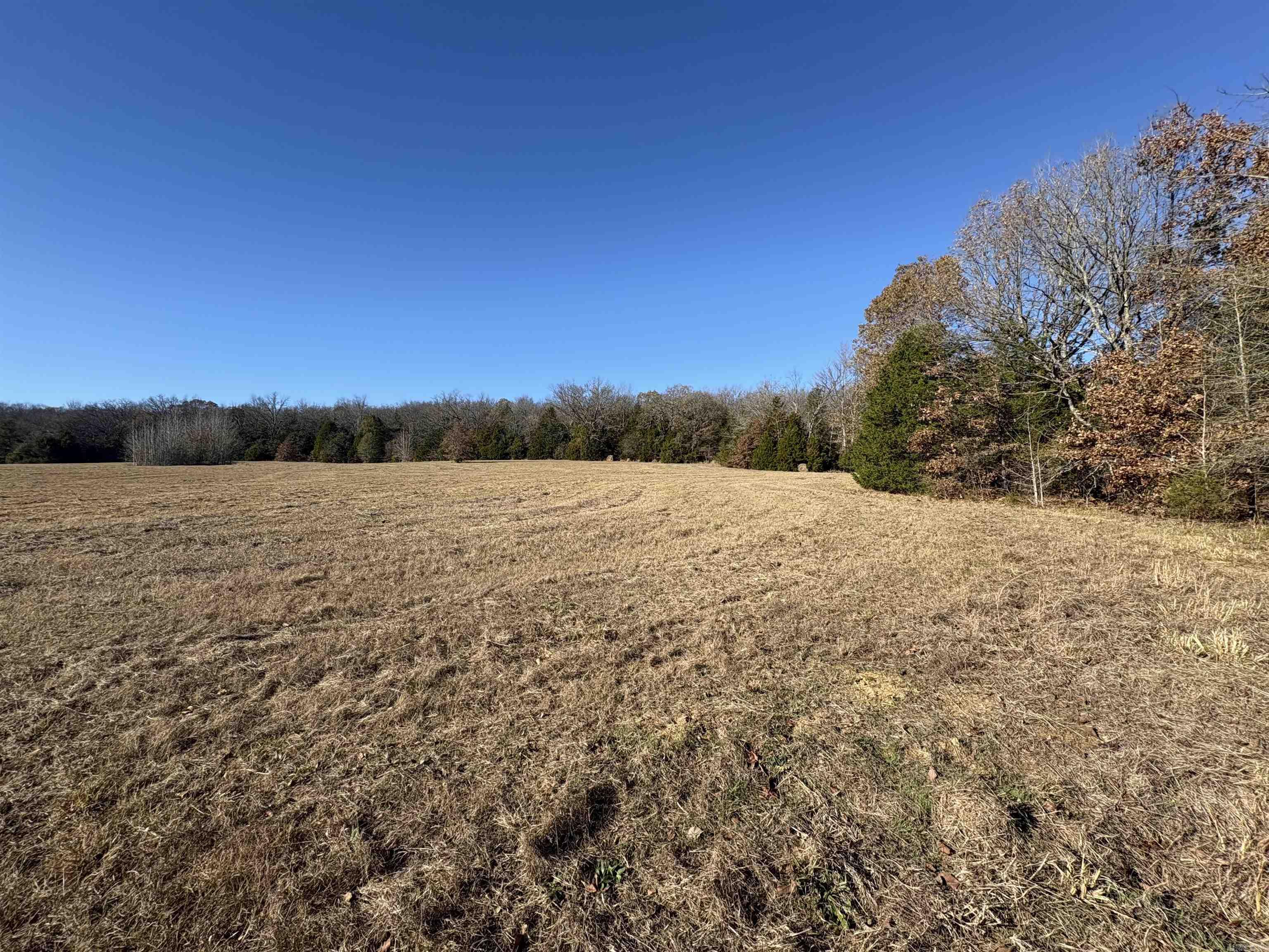 Tract 2 Ridge  El Paso, AR