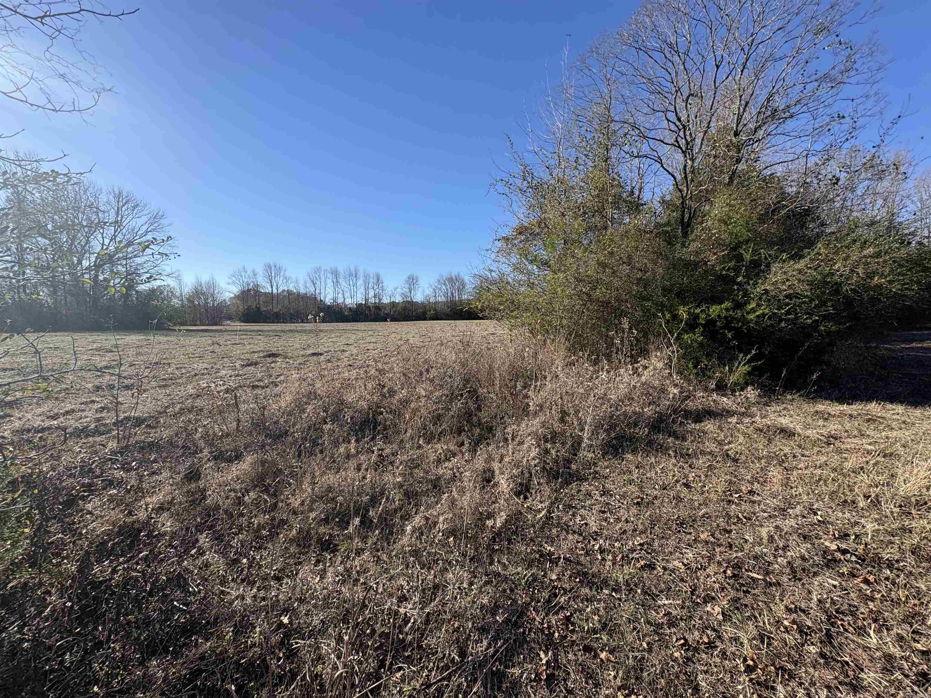 Tract 2 Ridge  El Paso, AR