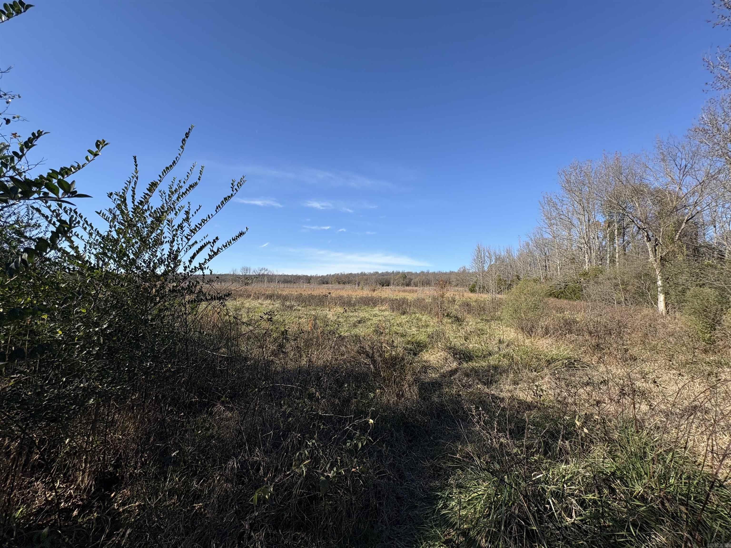 Tract 2 Ridge  El Paso, AR