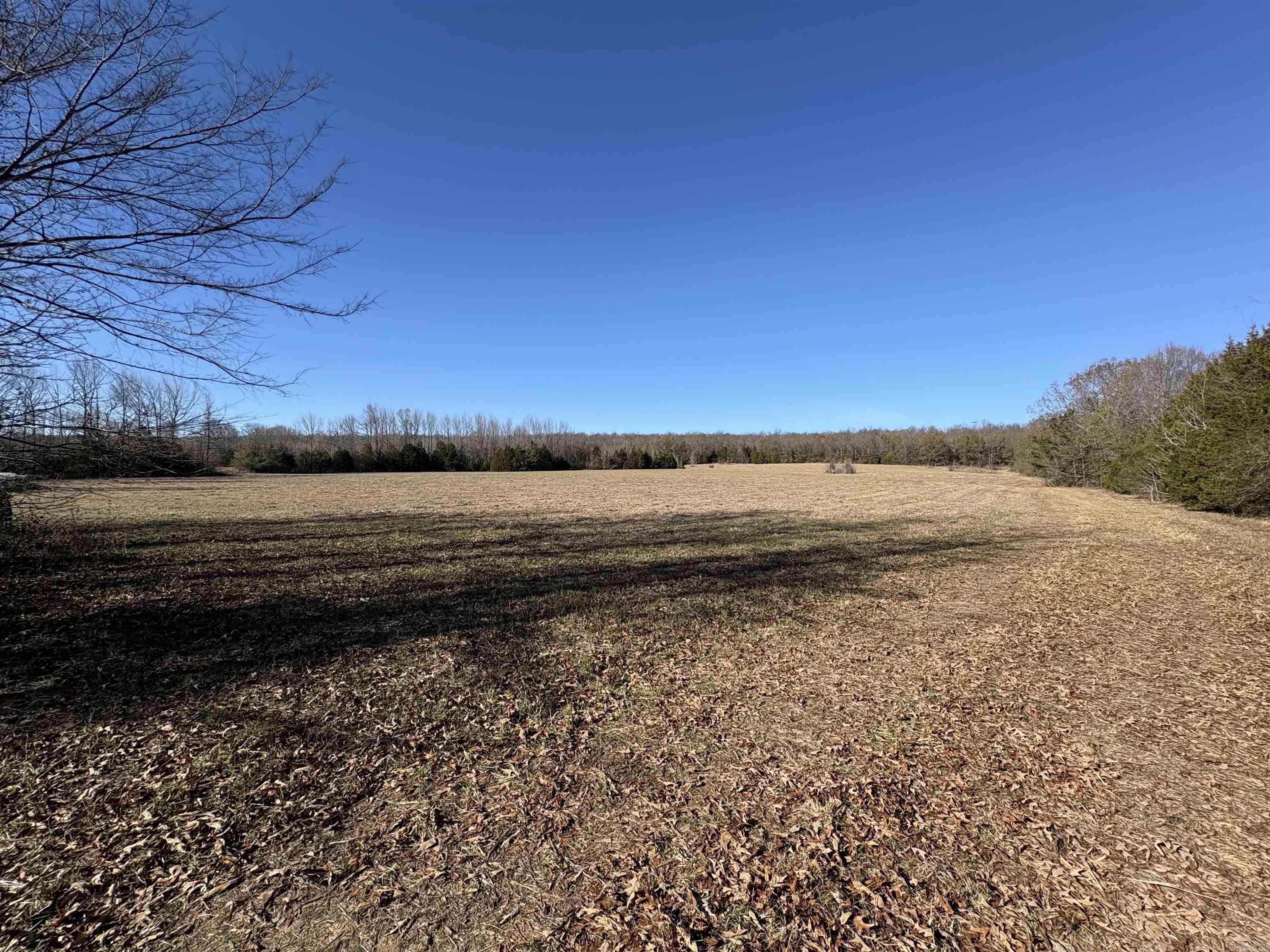 Tract 2 Ridge  El Paso, AR