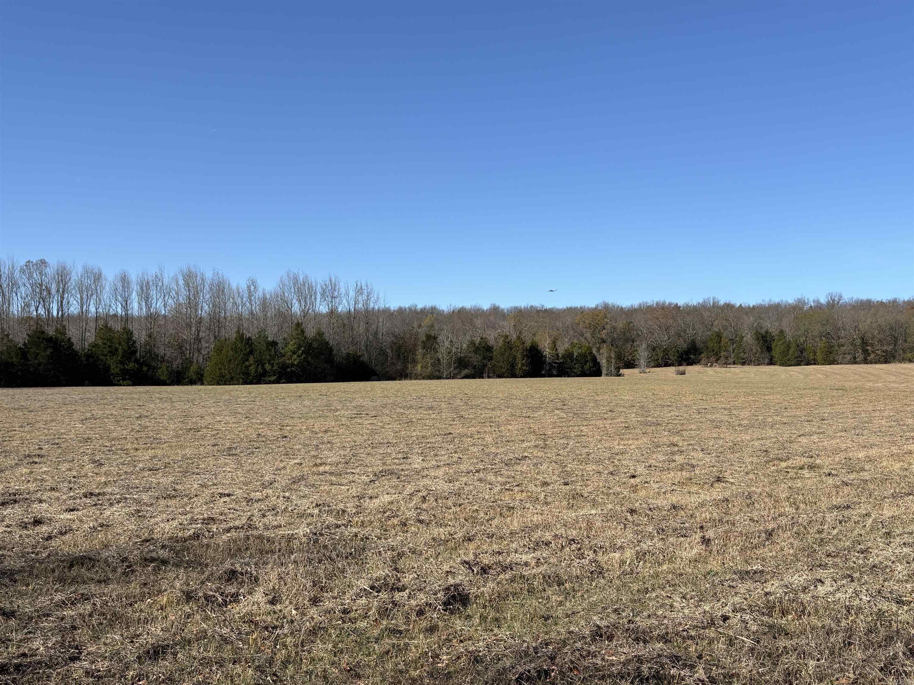 Tract 2 Ridge  El Paso, AR