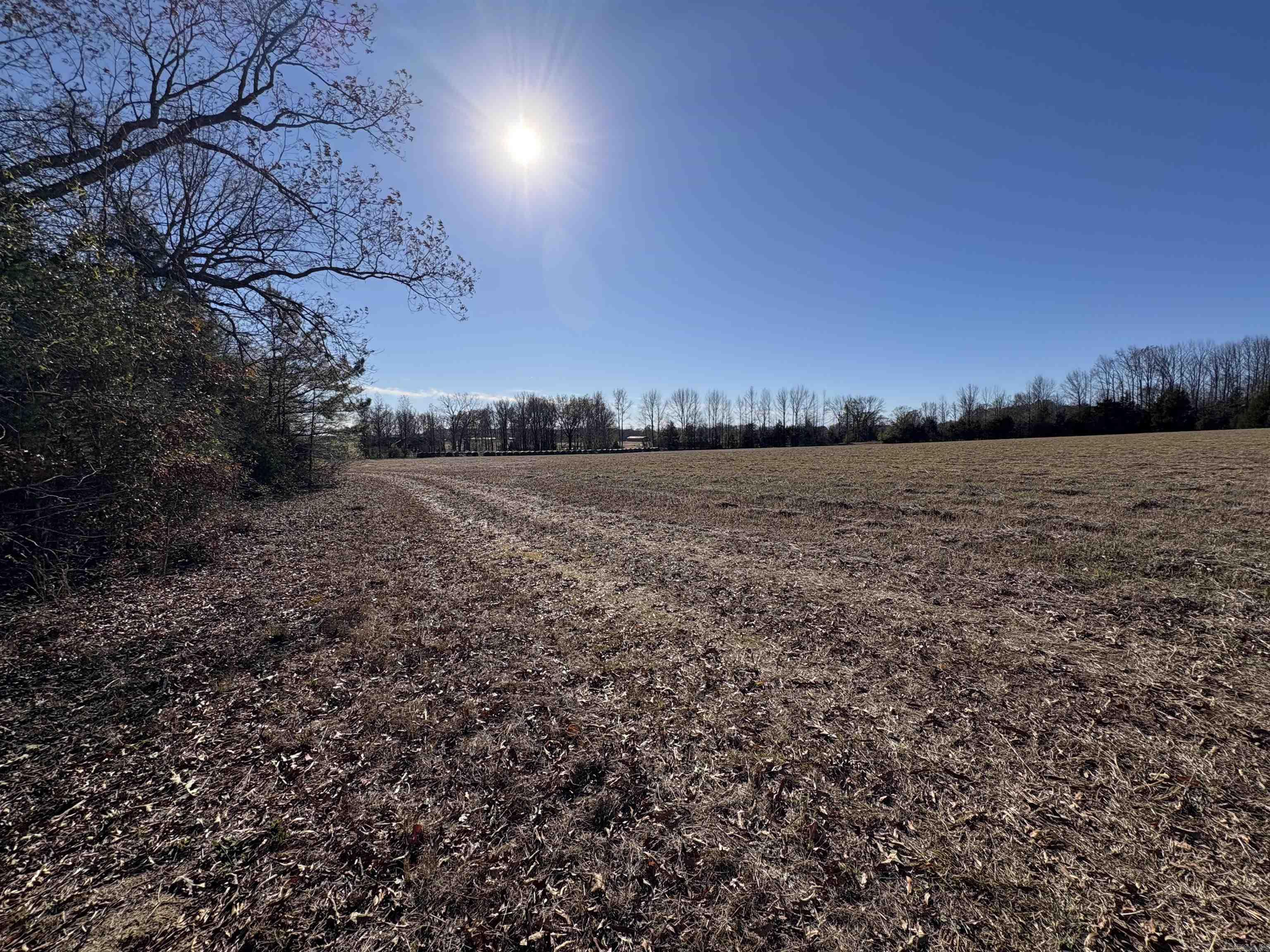 Tract 2 Ridge  El Paso, AR