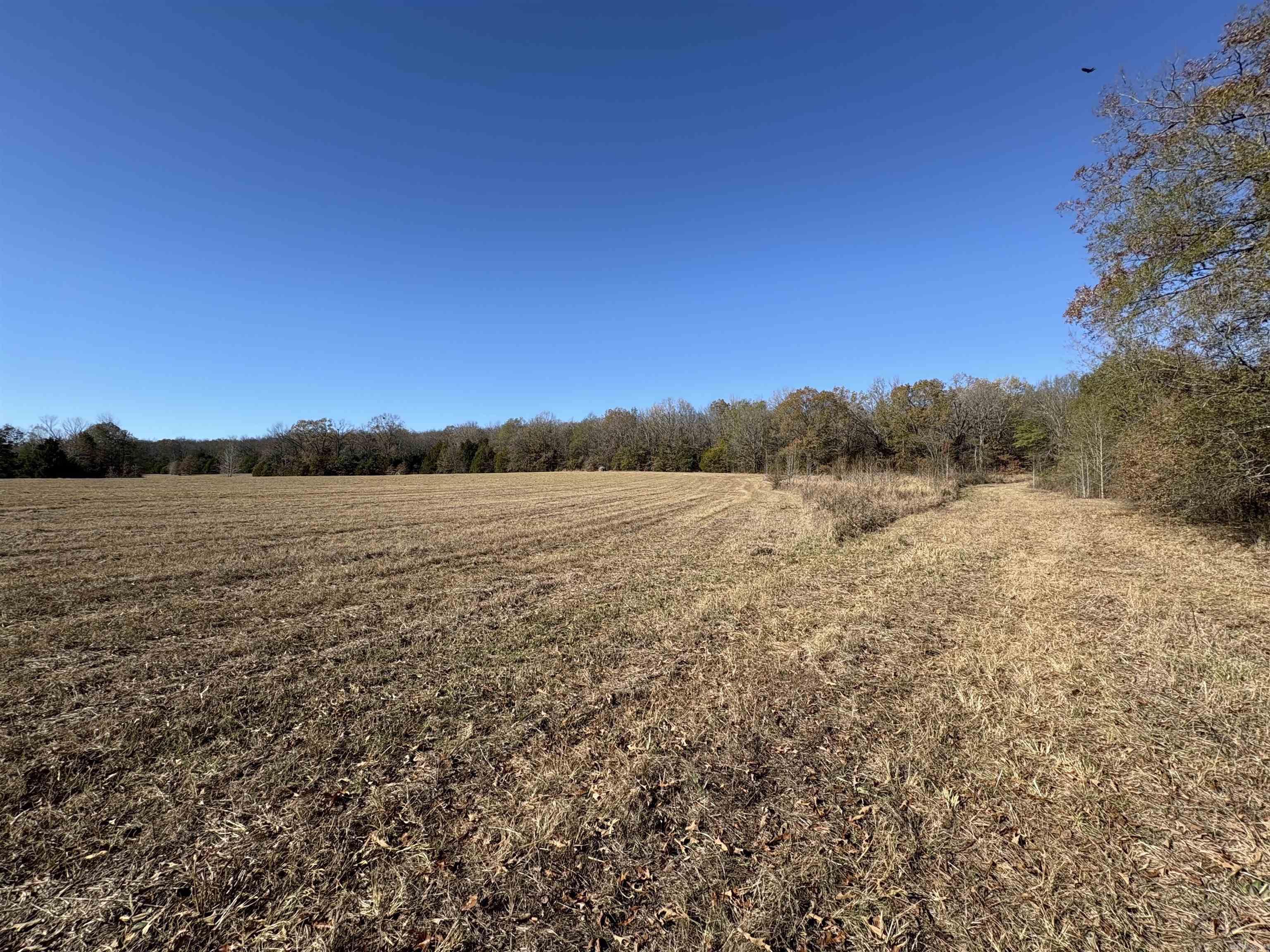 Tract 2 Ridge  El Paso, AR