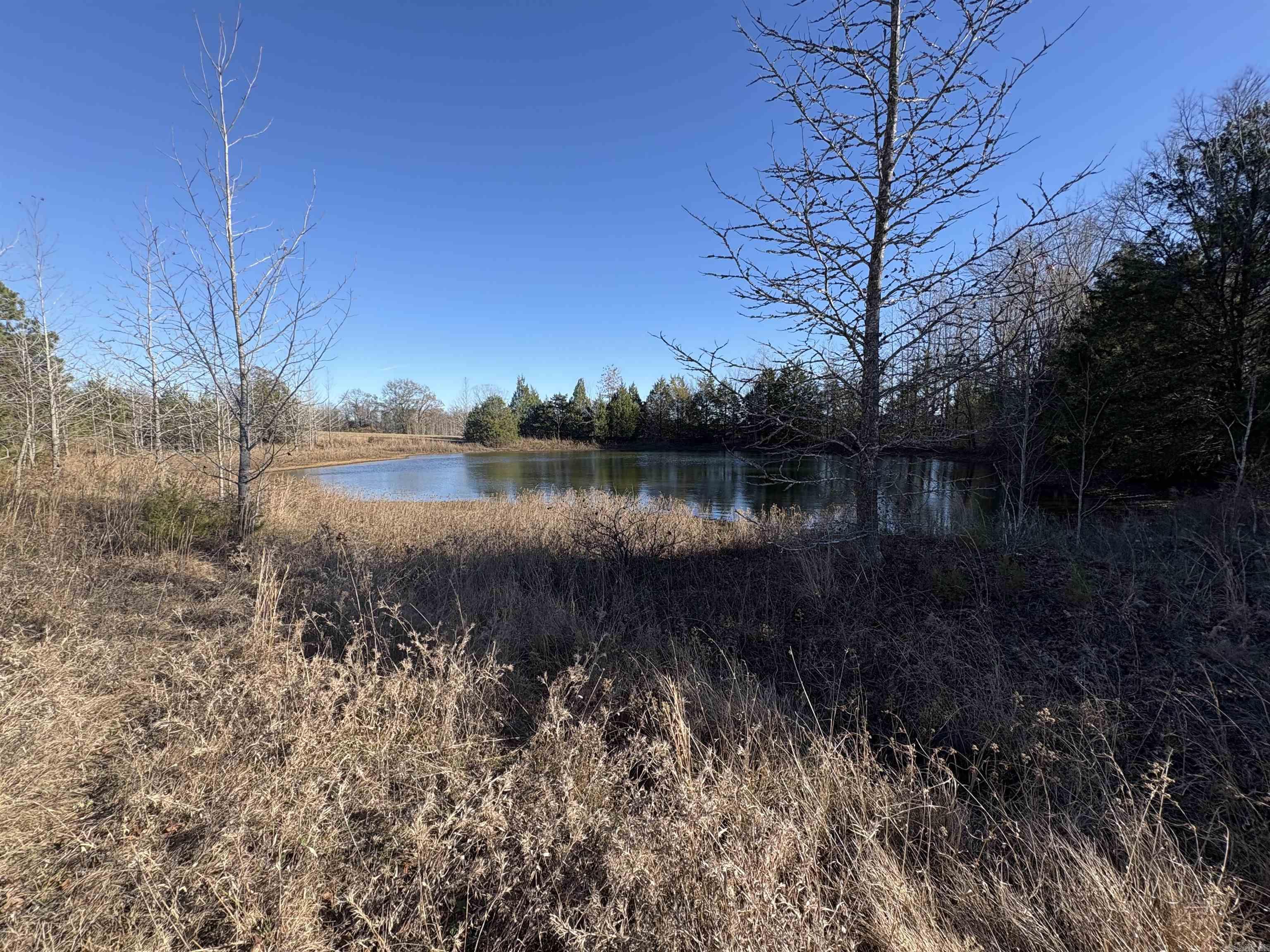 Tract 2 Ridge  El Paso, AR