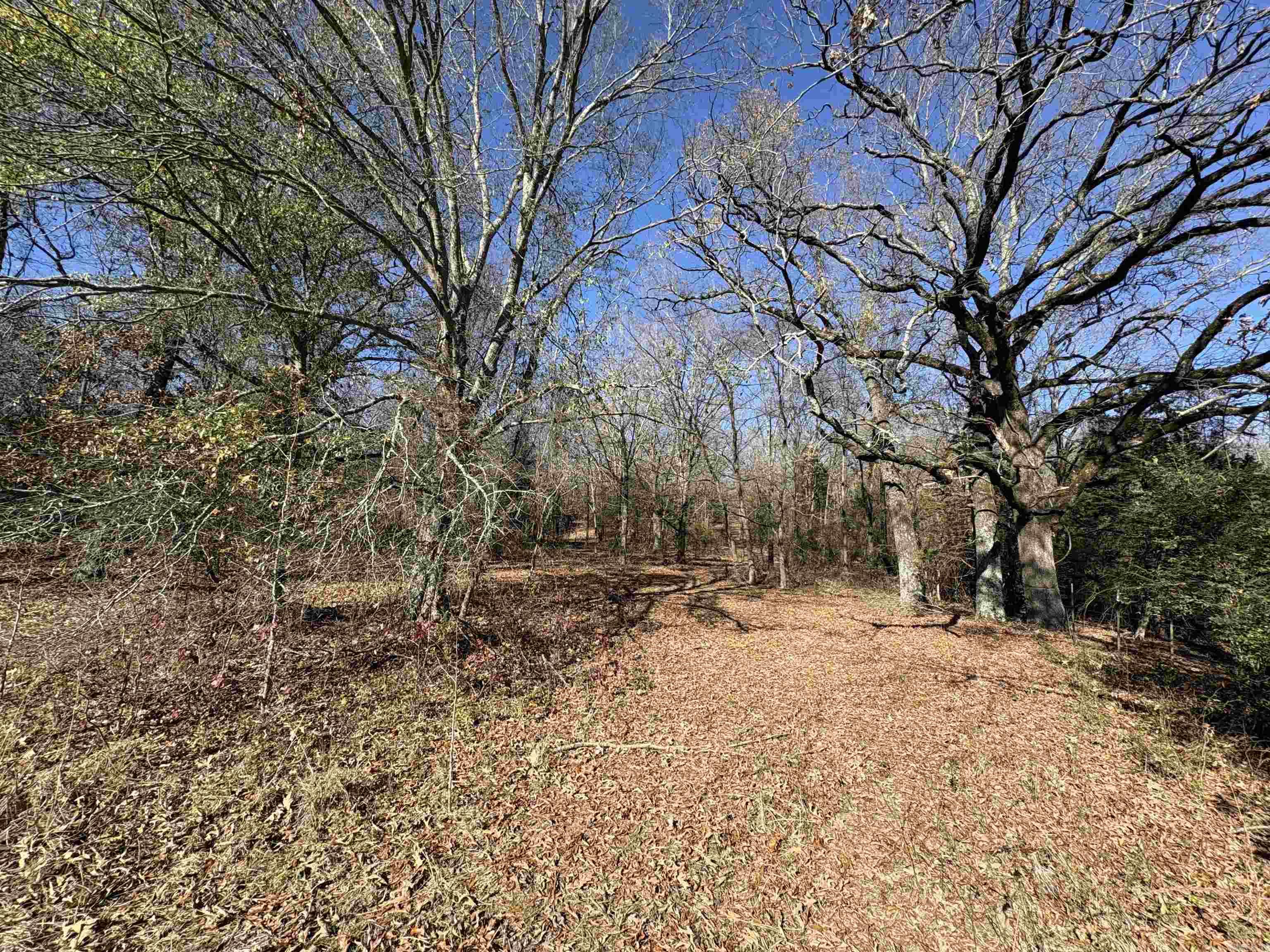 Tract 2 Ridge  El Paso, AR