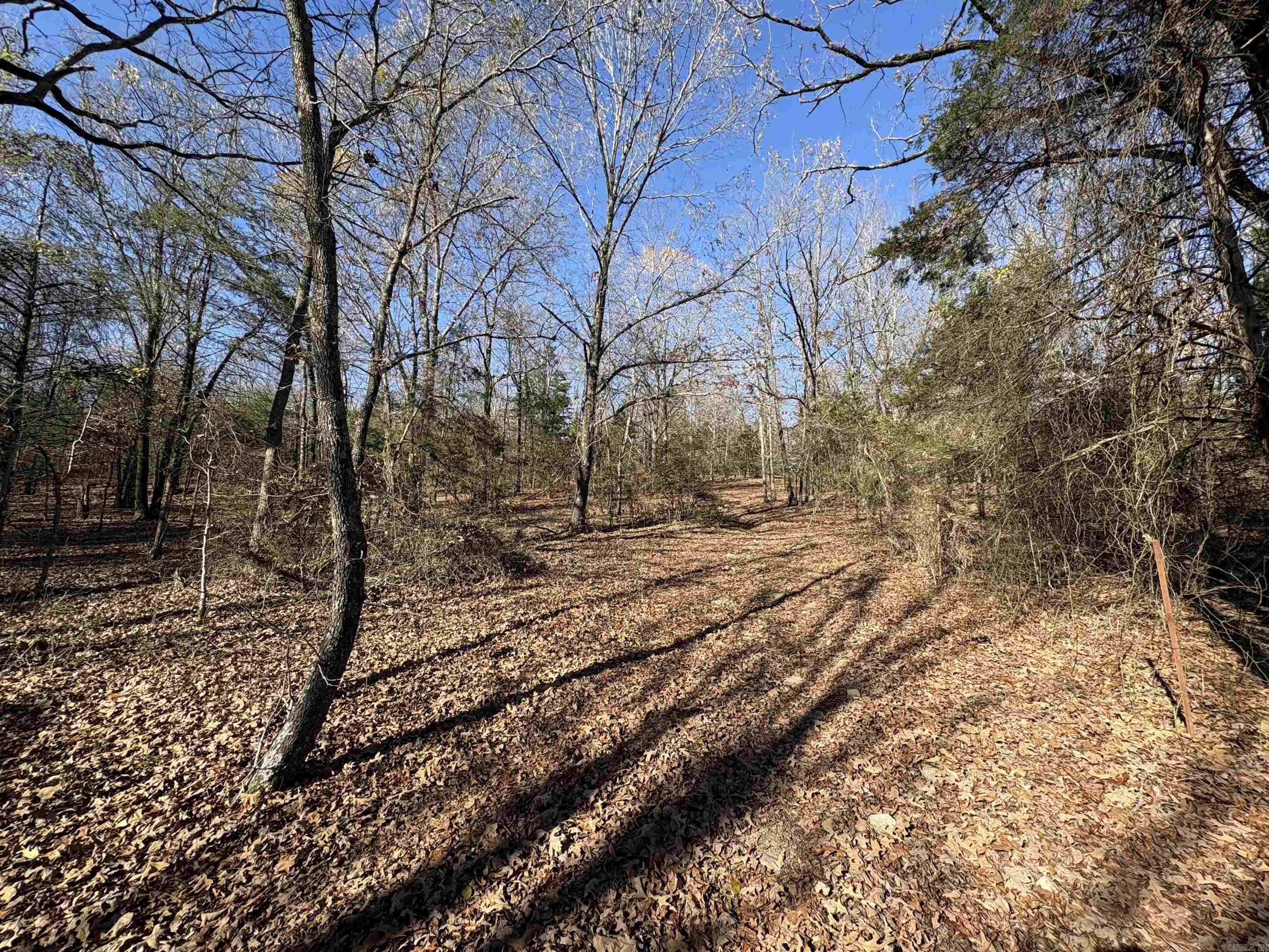 Tract 2 Ridge  El Paso, AR