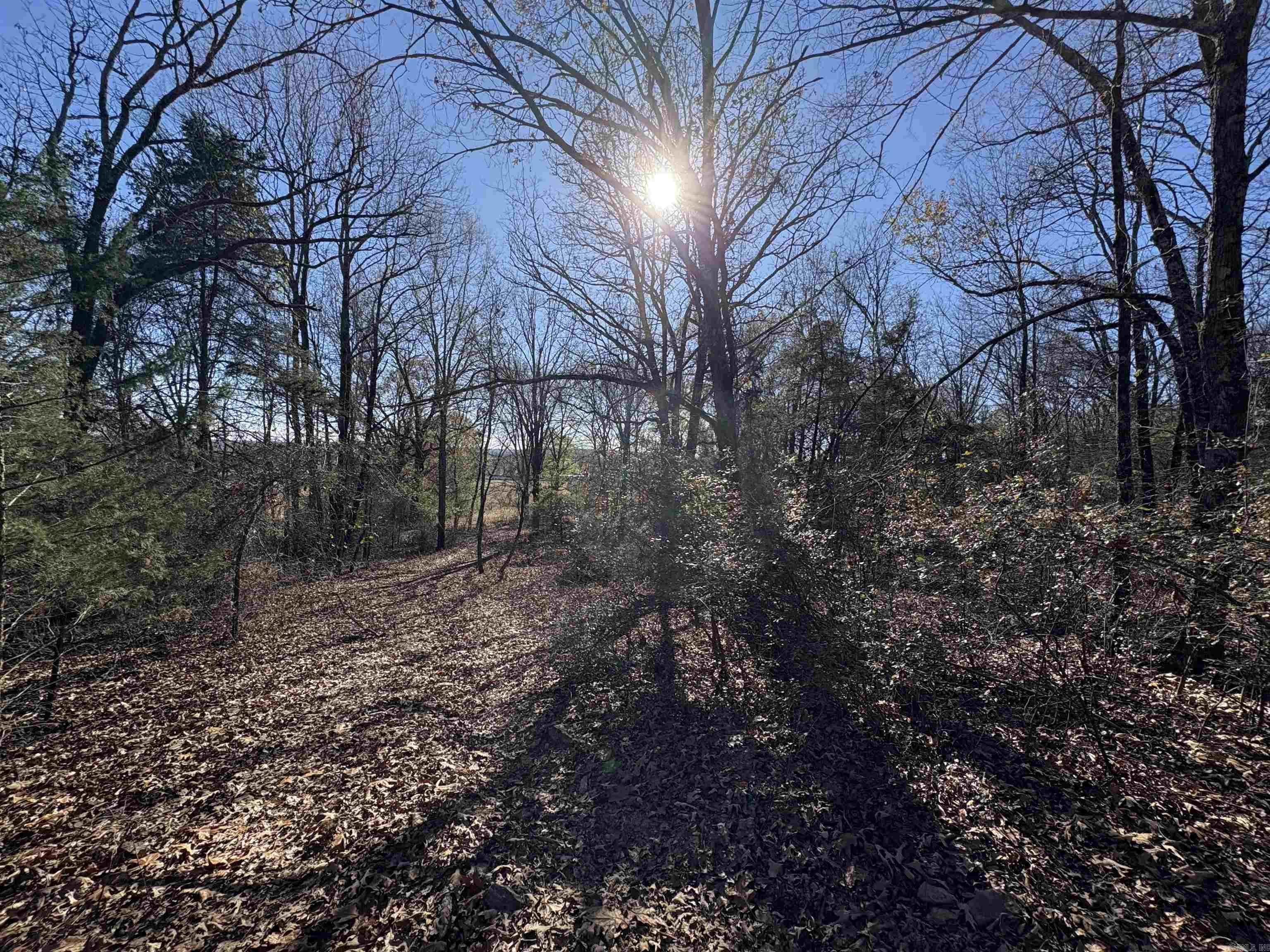 Tract 2 Ridge  El Paso, AR