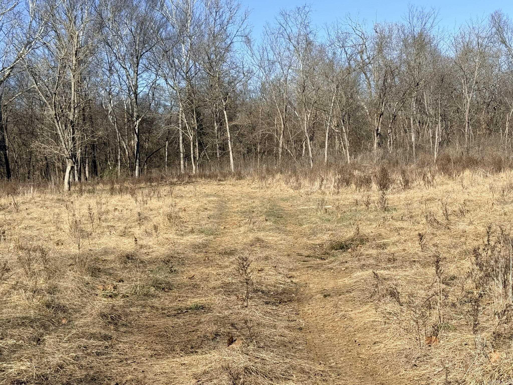 86 Acres Palestine  Warm Springs, AR