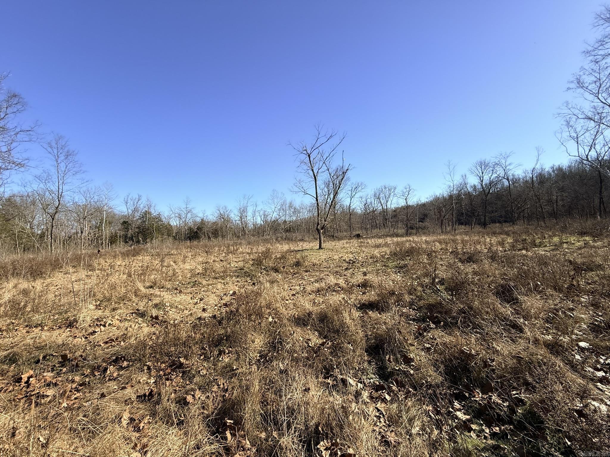 86 Acres Palestine  Warm Springs, AR