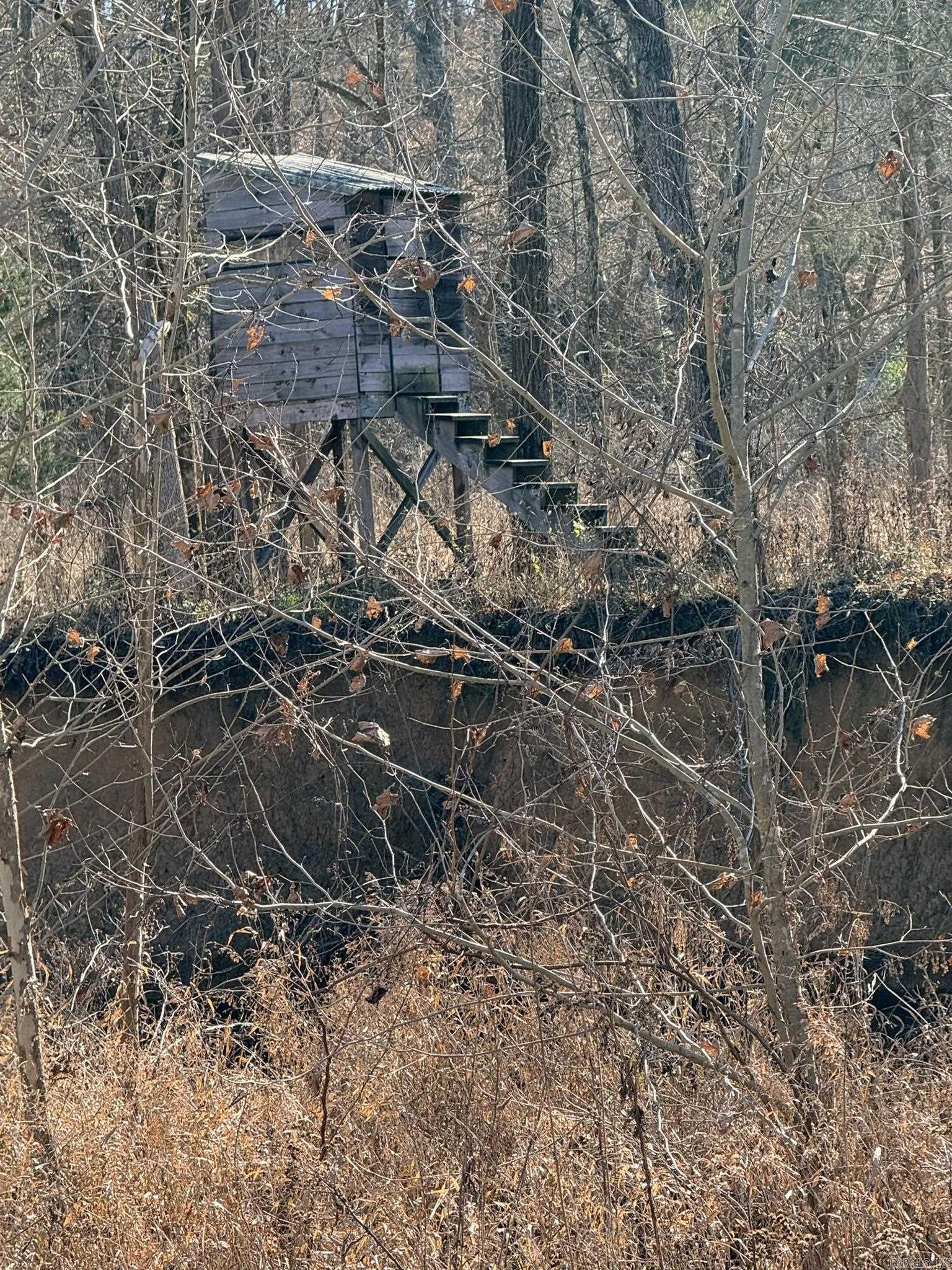 86 Acres Palestine  Warm Springs, AR