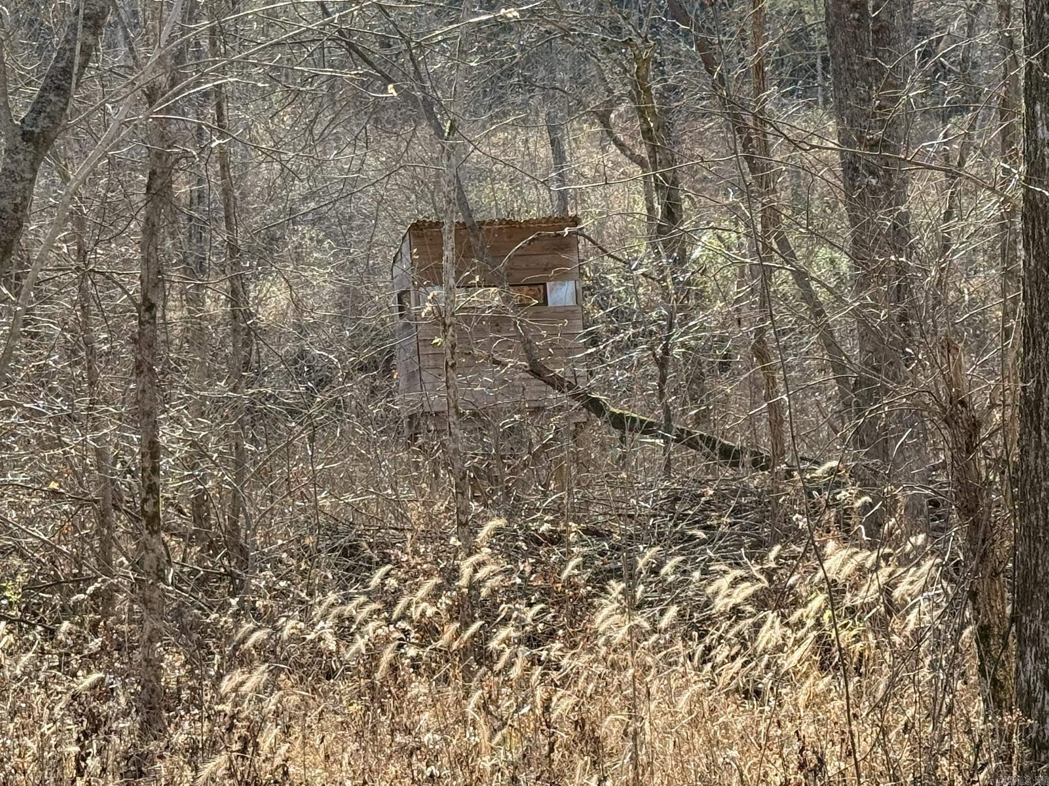 86 Acres Palestine  Warm Springs, AR