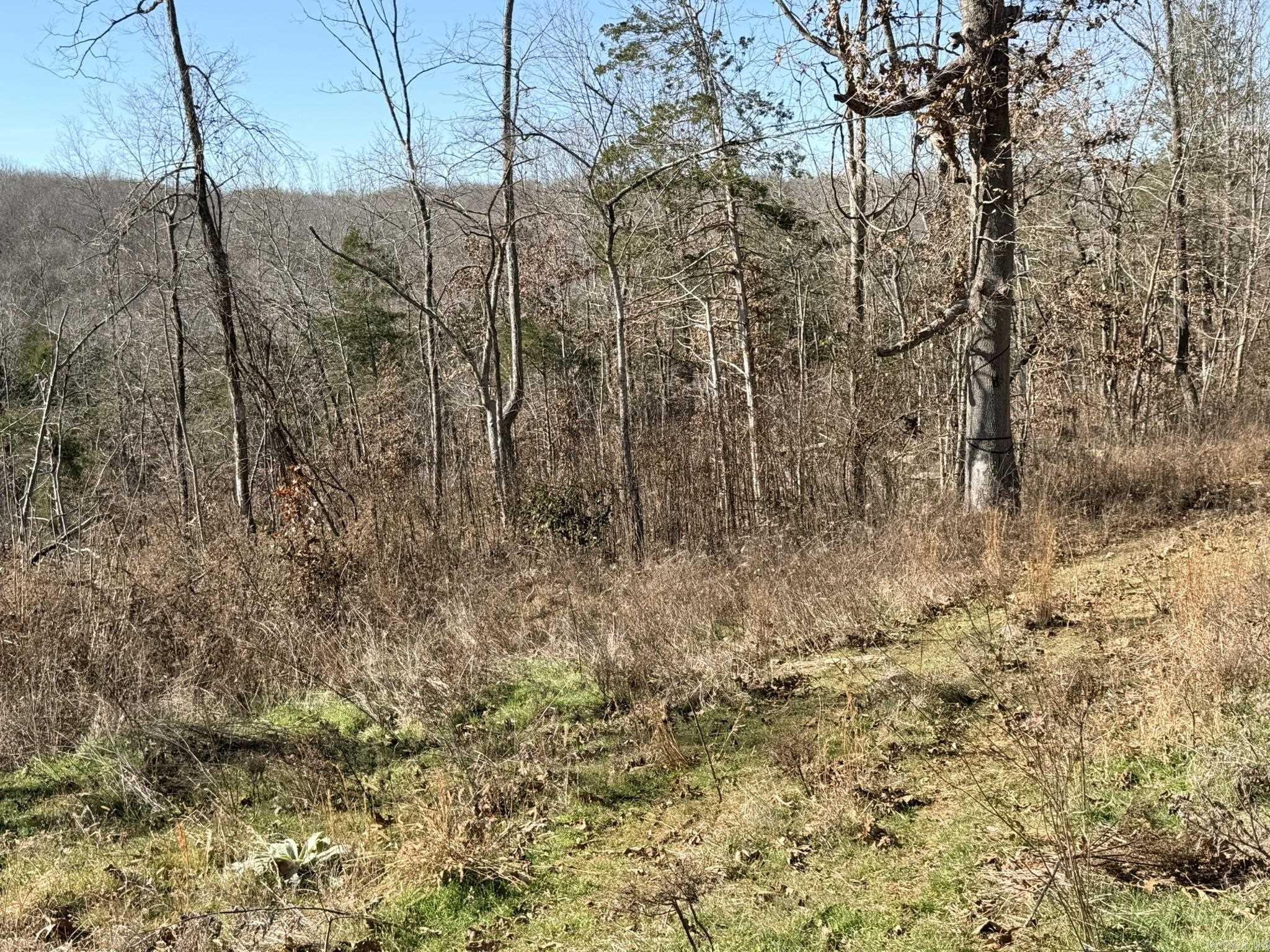86 Acres Palestine  Warm Springs, AR