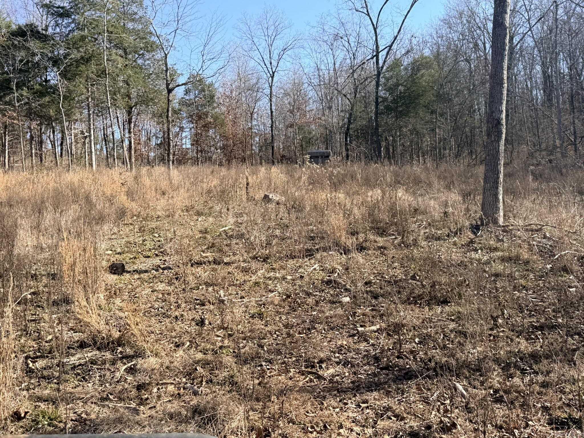 86 Acres Palestine  Warm Springs, AR