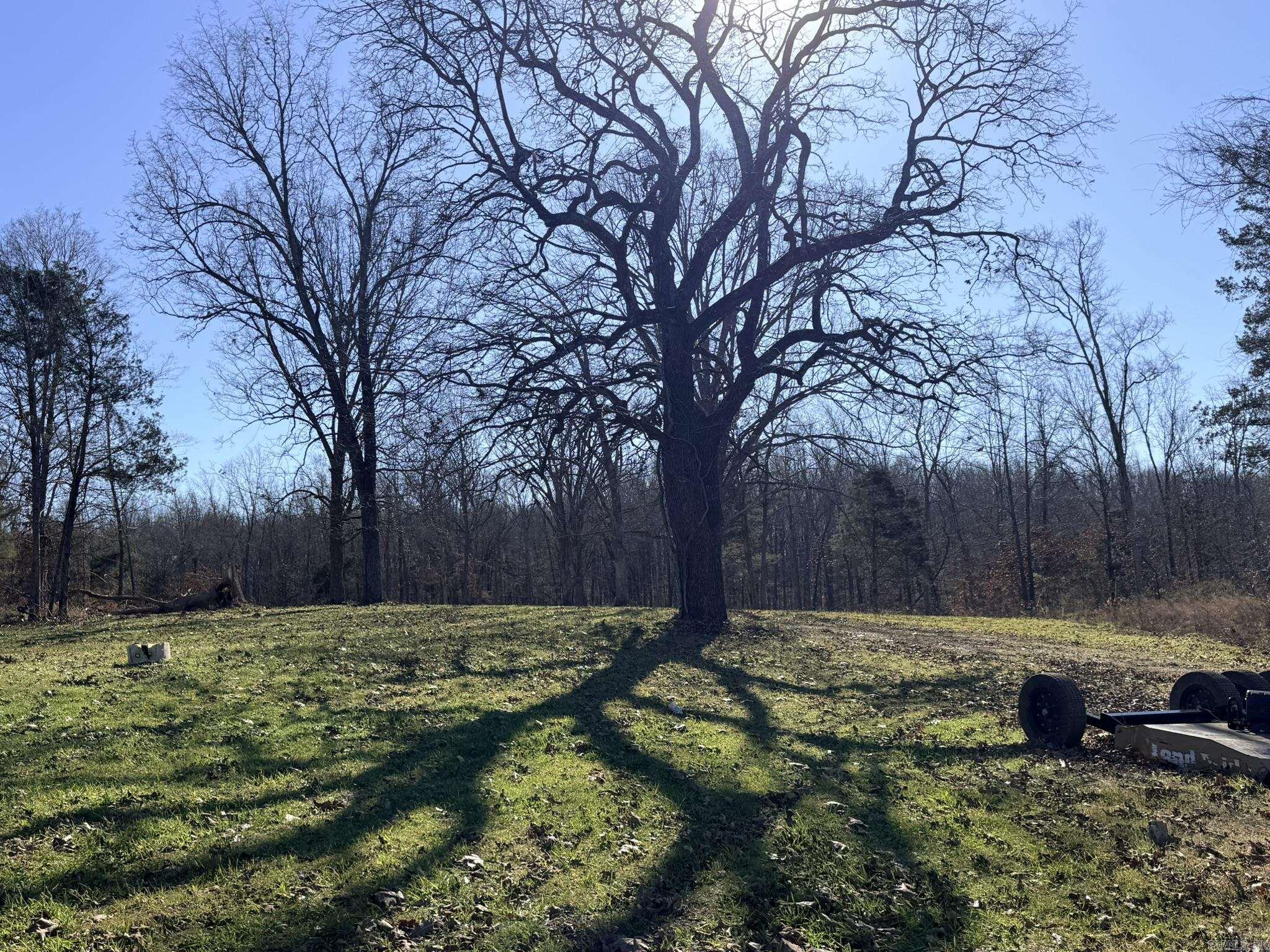 86 Acres Palestine  Warm Springs, AR