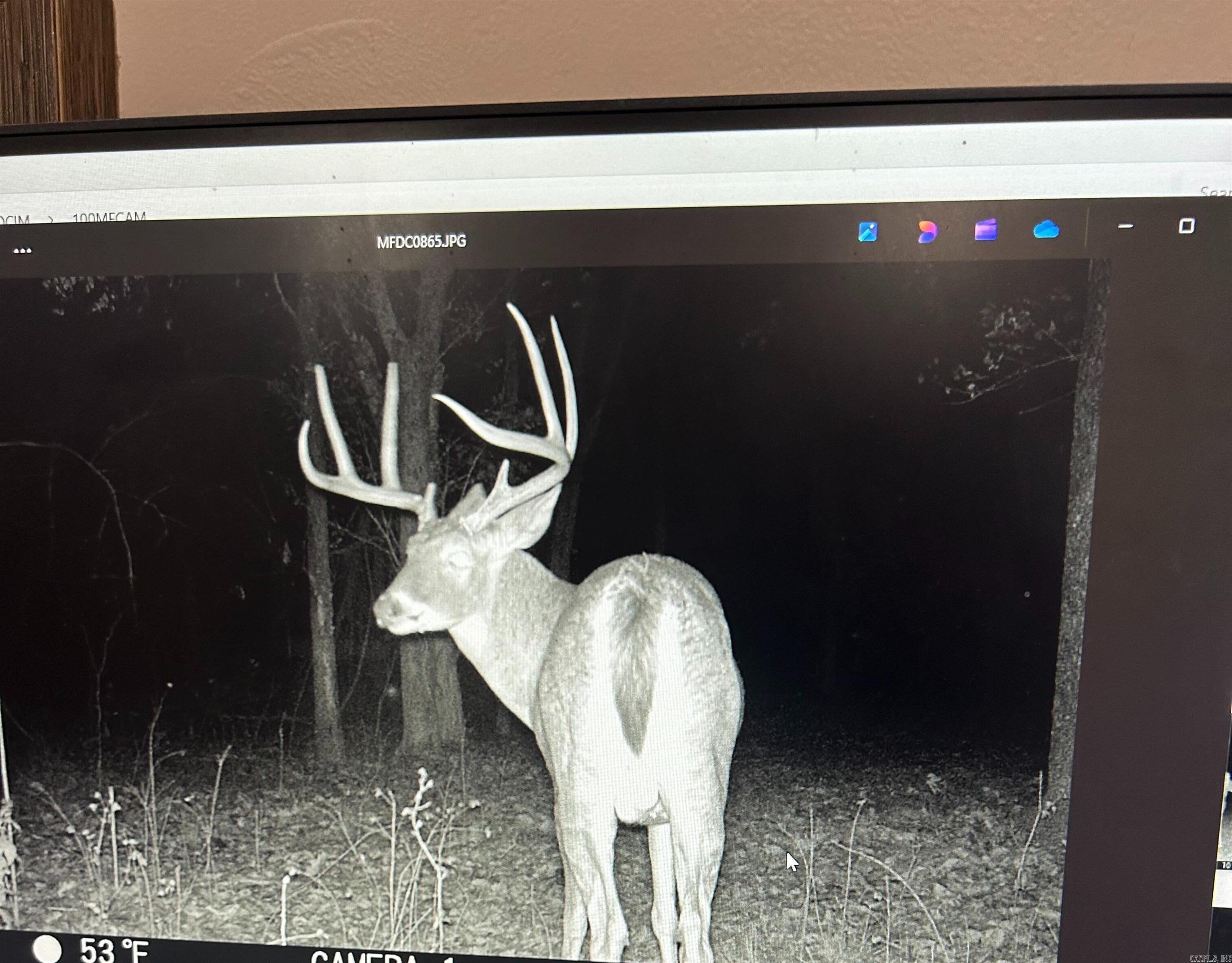 86 Acres Palestine  Warm Springs, AR