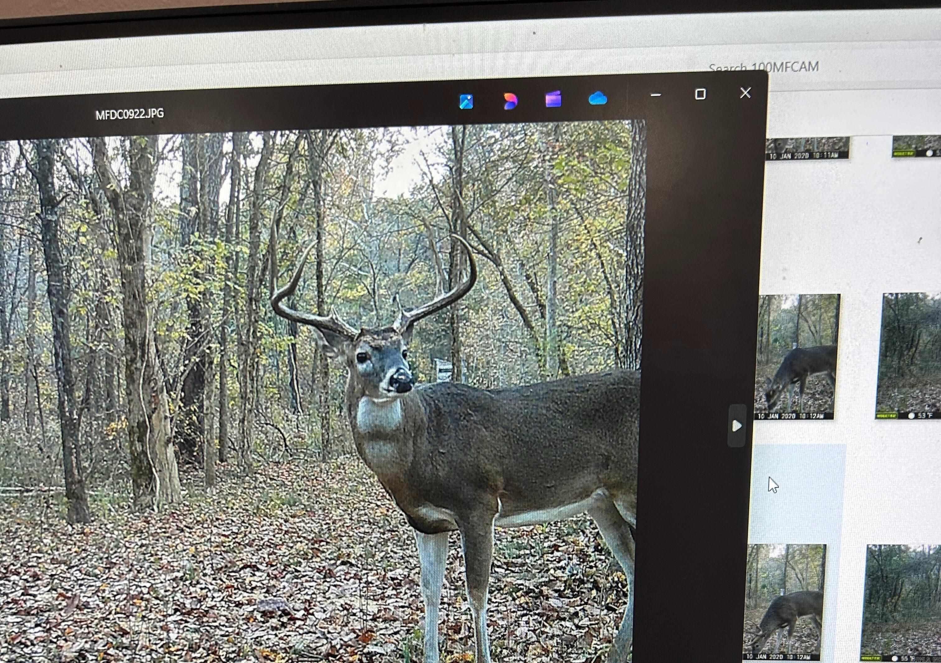 86 Acres Palestine  Warm Springs, AR