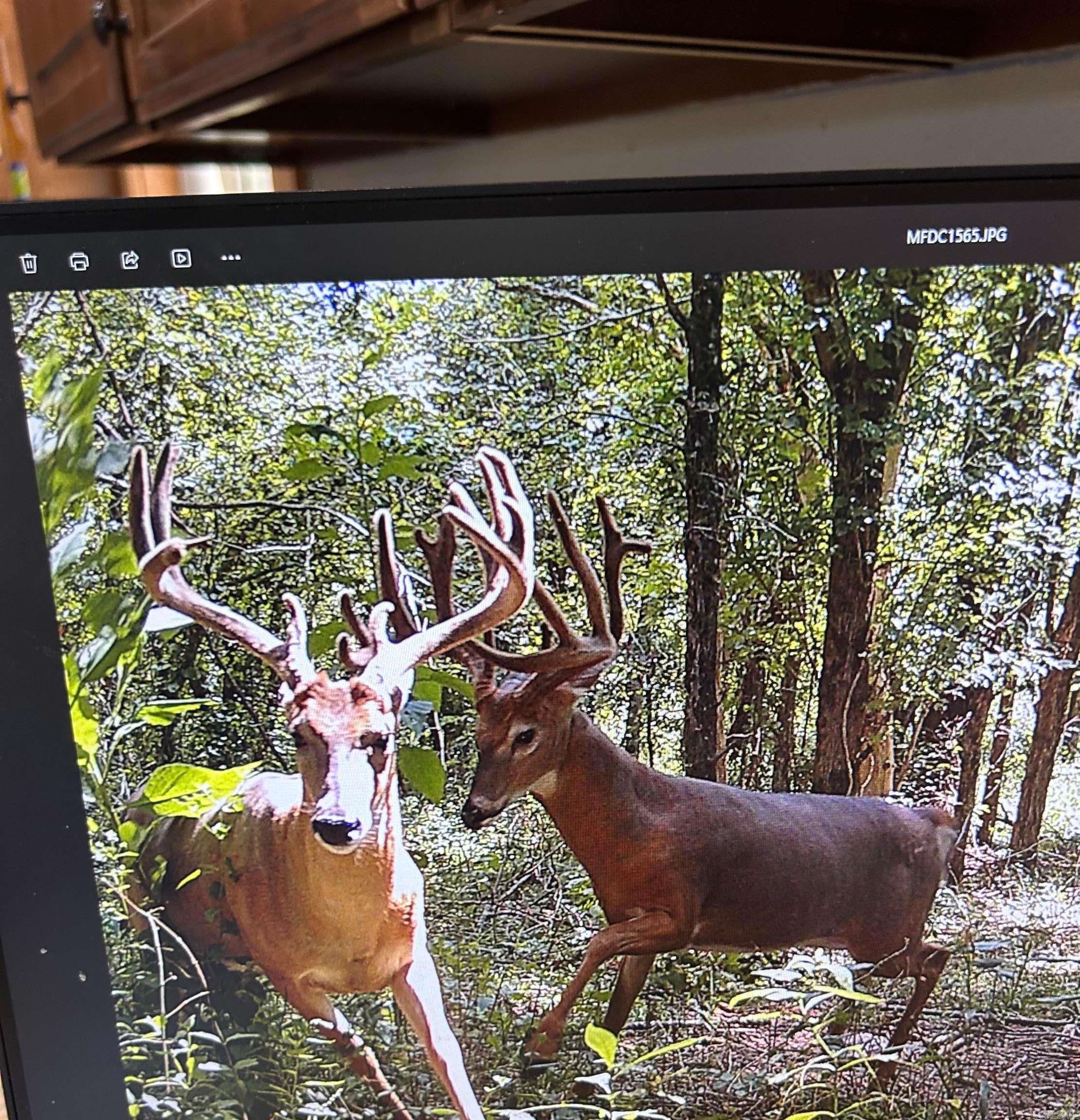 86 Acres Palestine  Warm Springs, AR