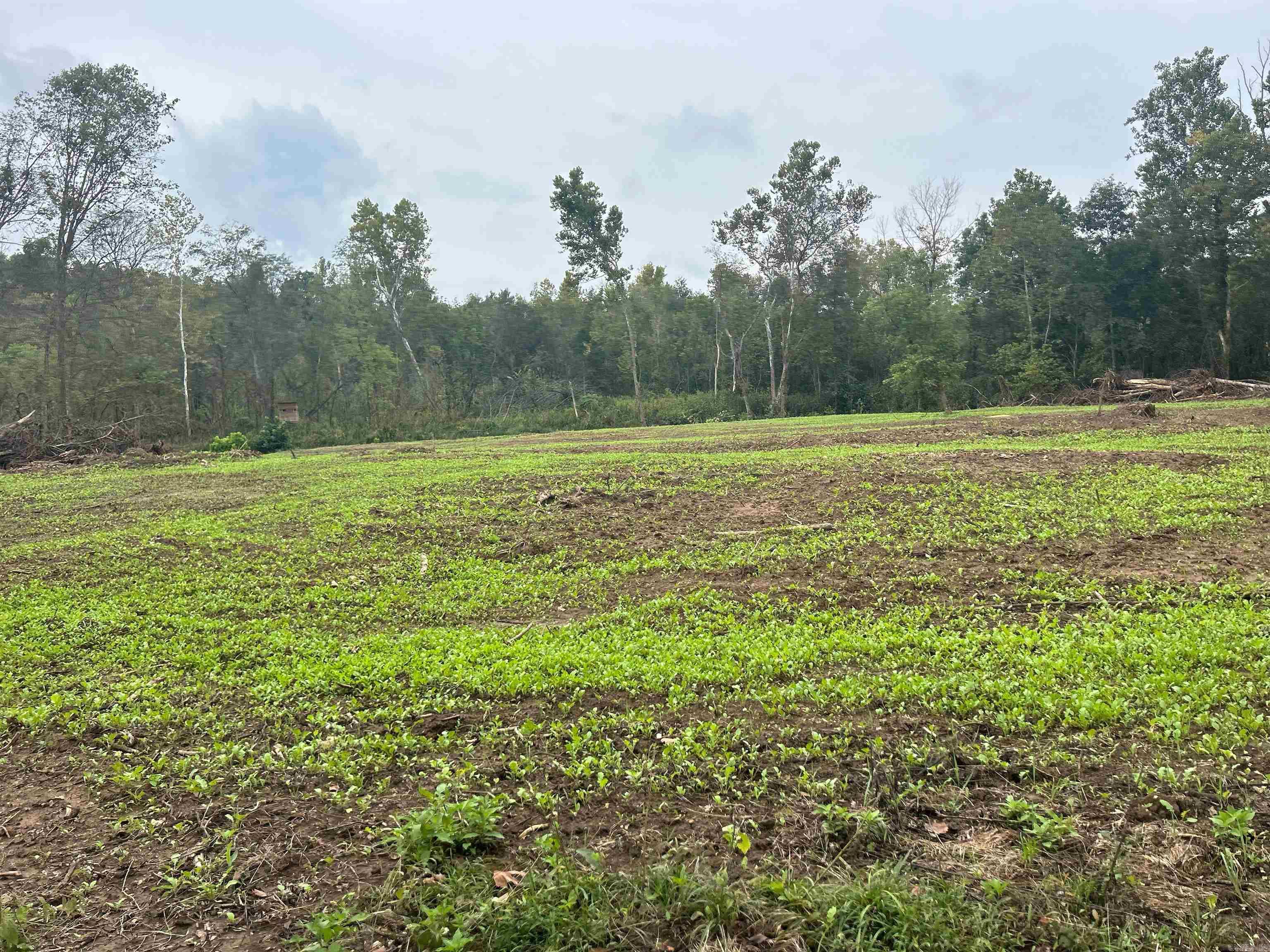 86 Acres Palestine  Warm Springs, AR