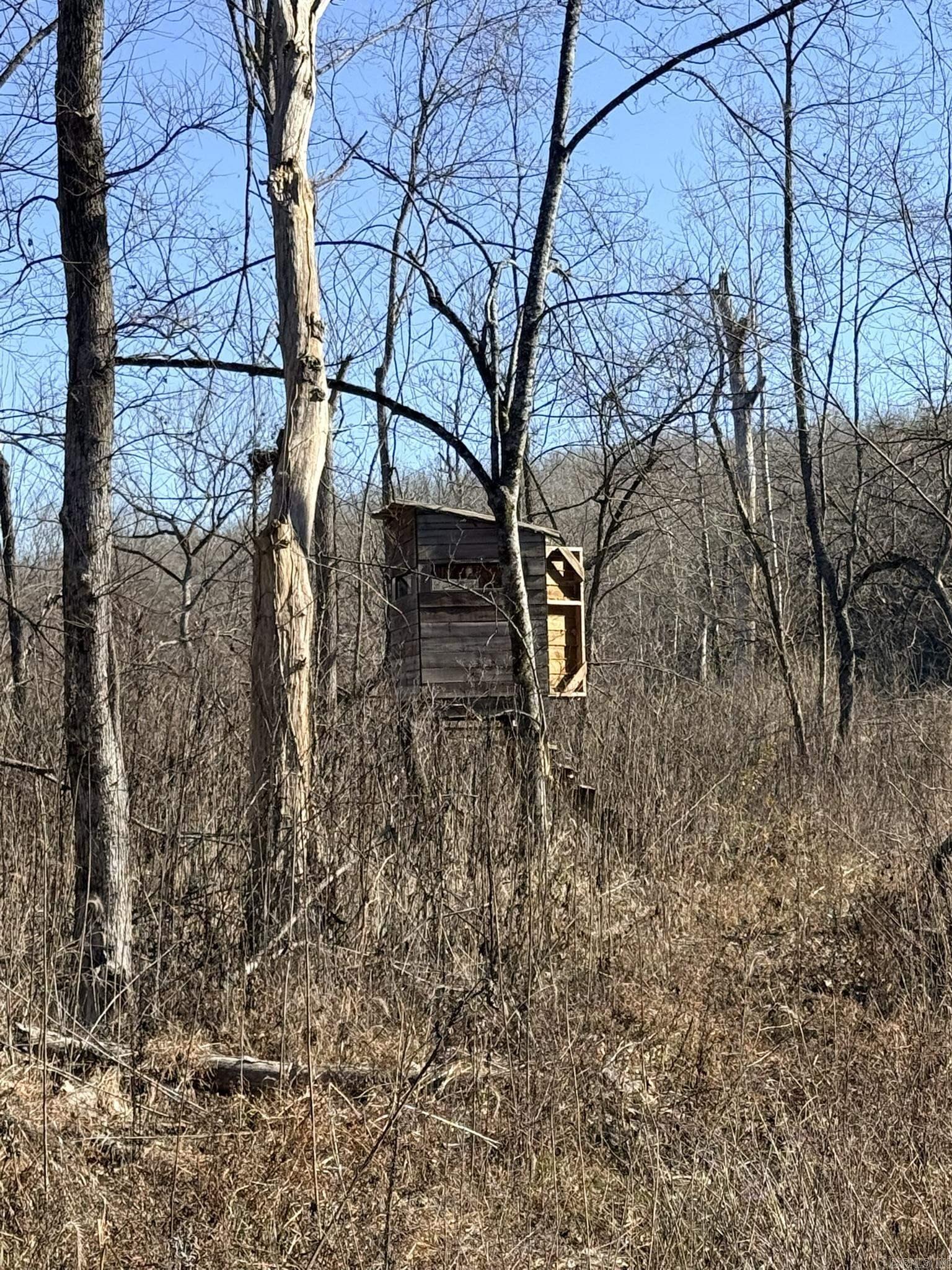 86 Acres Palestine  Warm Springs, AR