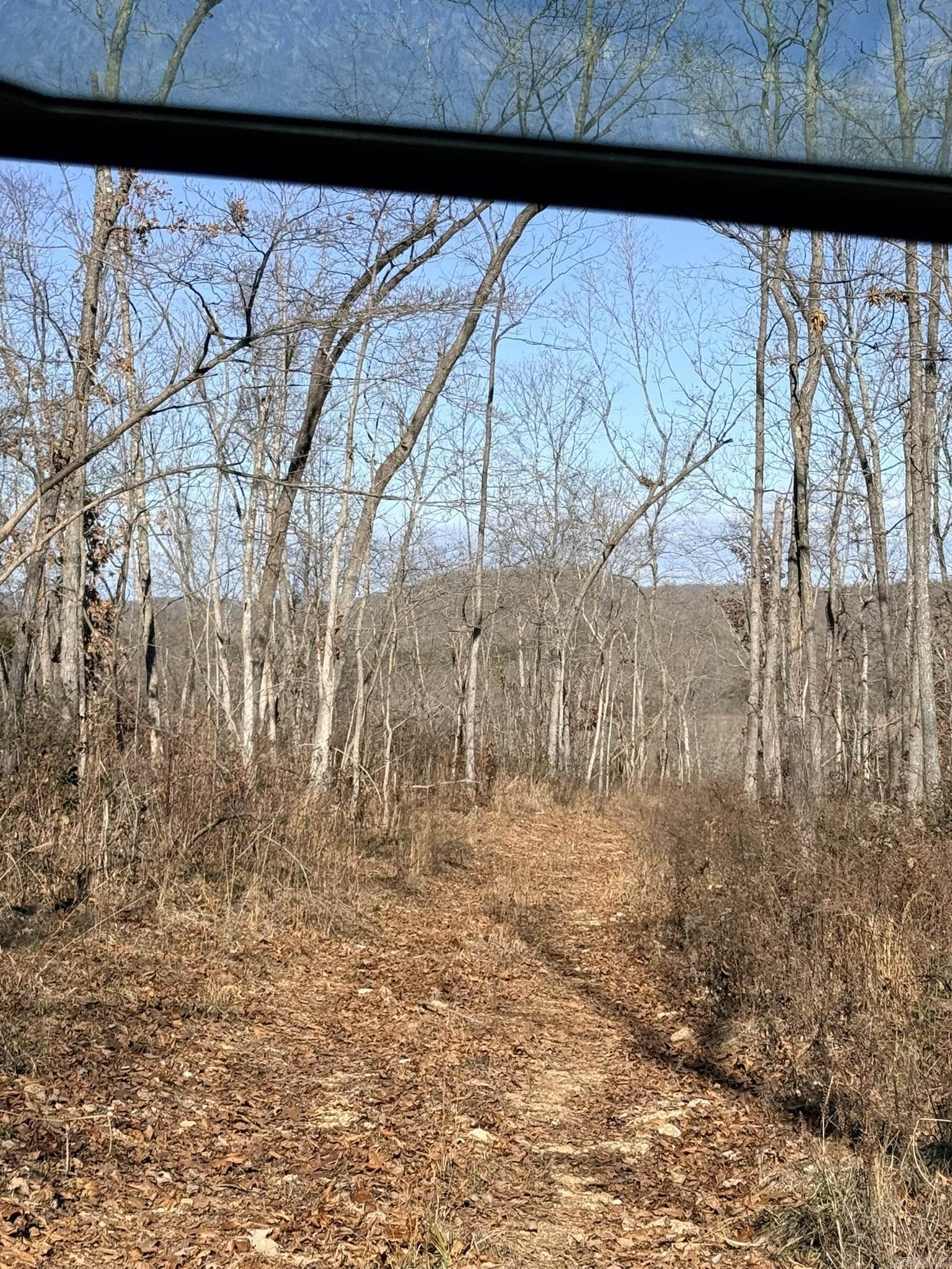 86 Acres Palestine  Warm Springs, AR