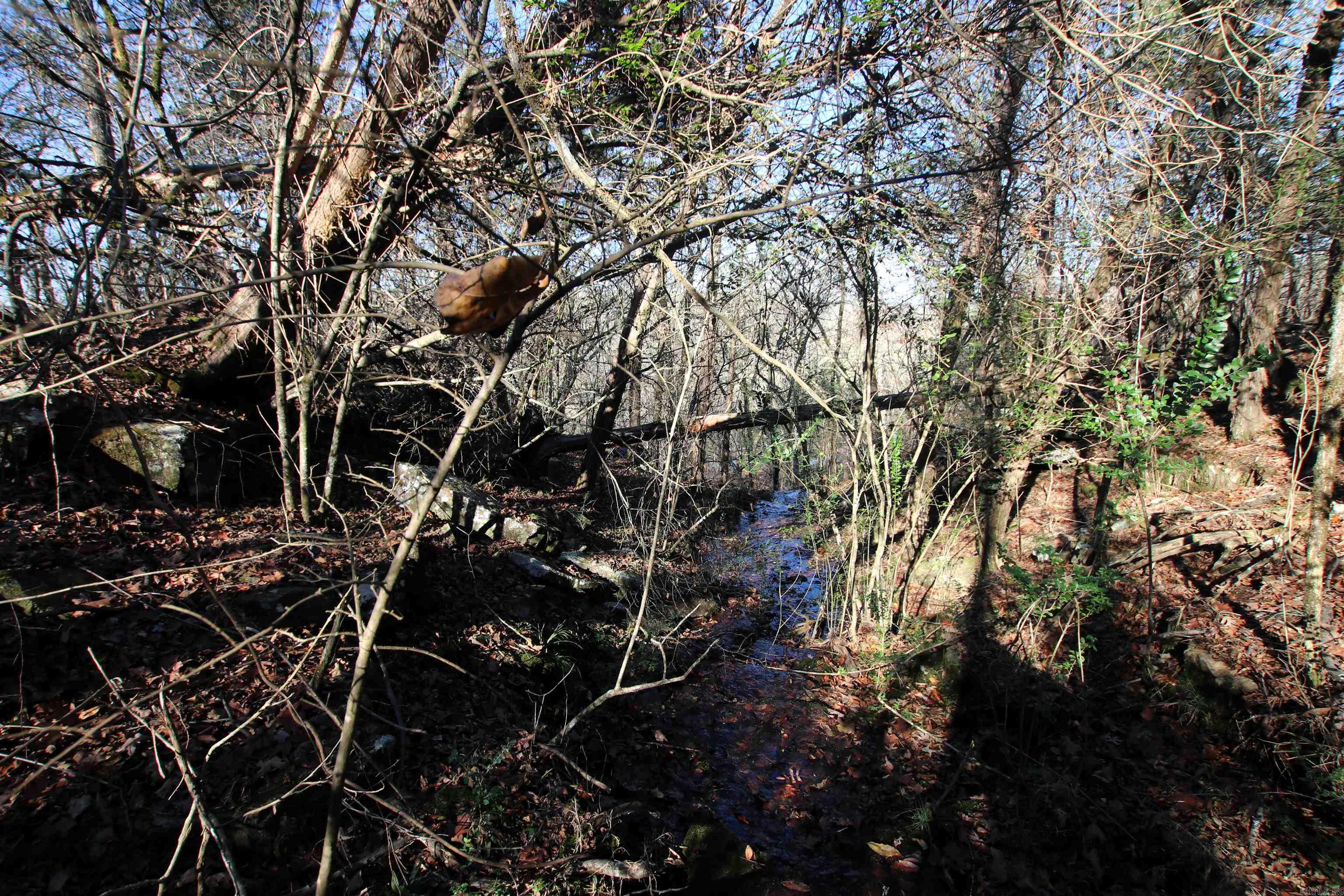 287 Copeland Cave  Cleveland, AR