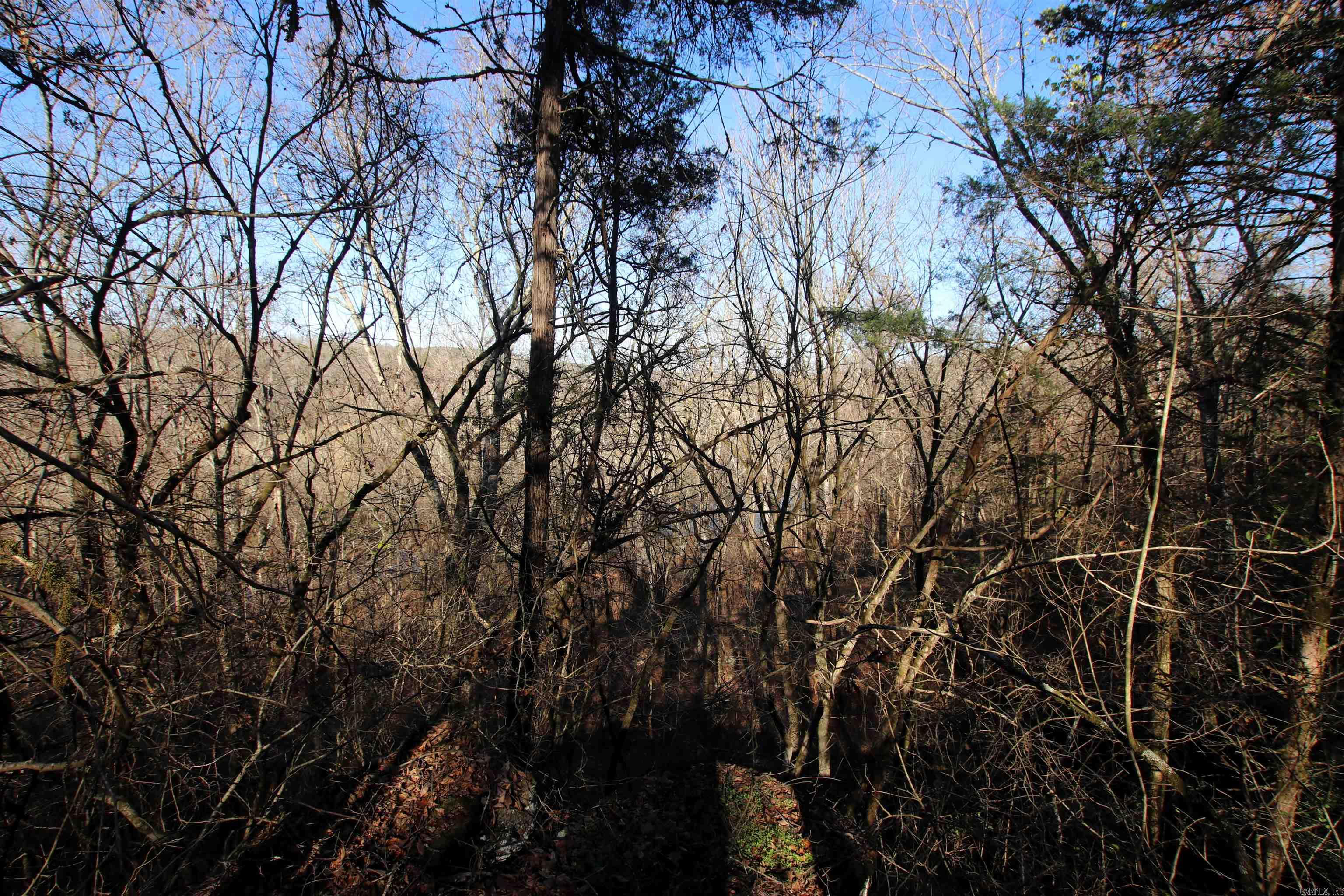 287 Copeland Cave  Cleveland, AR